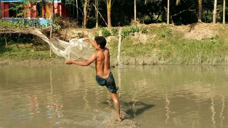 Many also catch fish in ponds.
