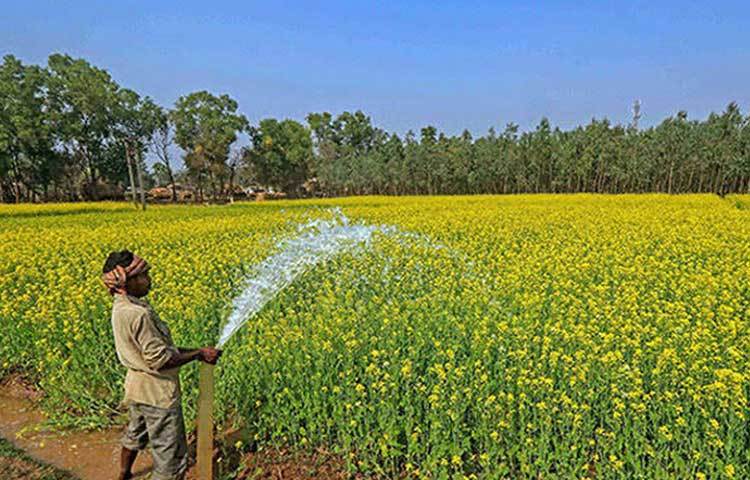 Bipin Rao Yadav comes from a farming family in Saidpur, Haryana