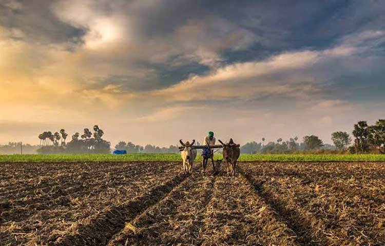 His father, a farmer, wanted both his sons to have good jobs