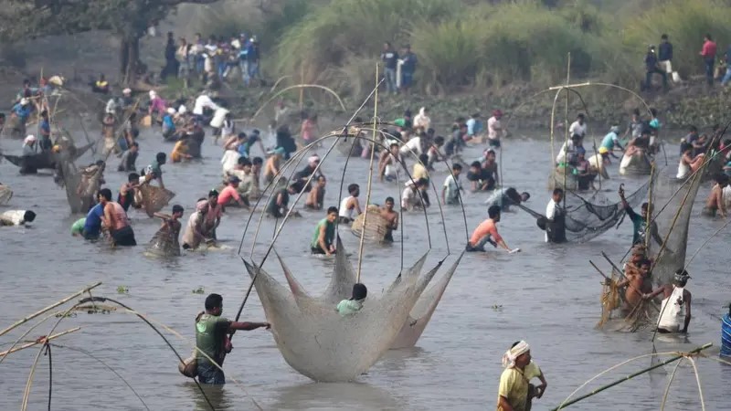 A scene of fishing on a grand scale.