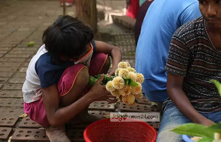 Chatting over kadam flowers. Photo: Mahbub Alam