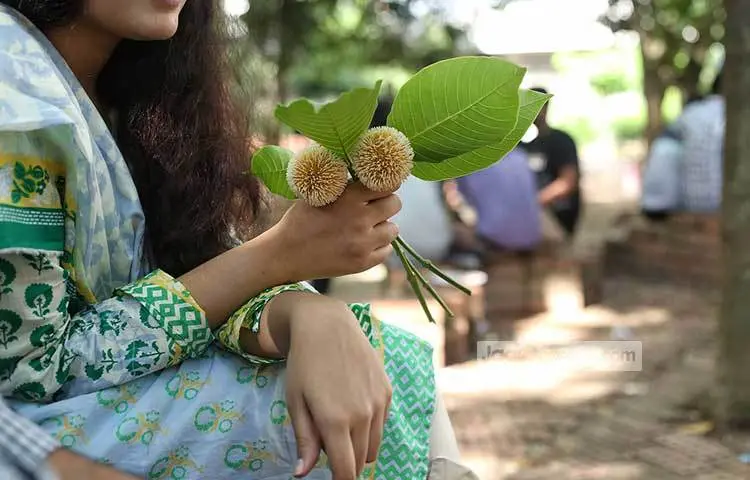 A young woman sits holding kadam flowers. Photo: Mahbub Alam