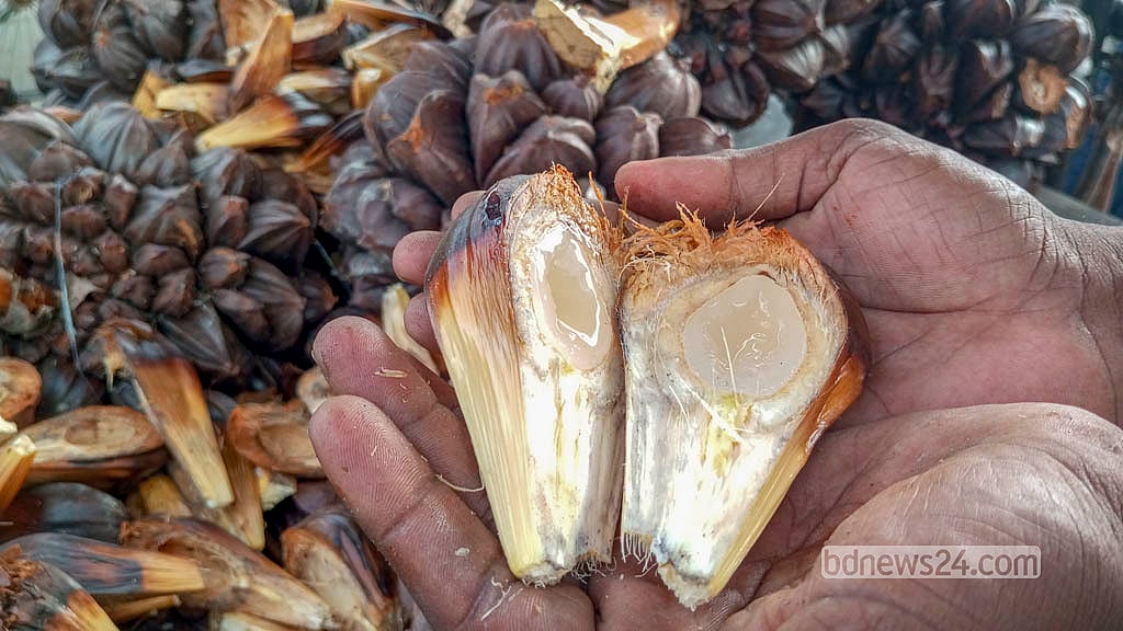 Pictures: Sundarbans nipa palm fruit reaches Dhaka at Tk 10 apiece