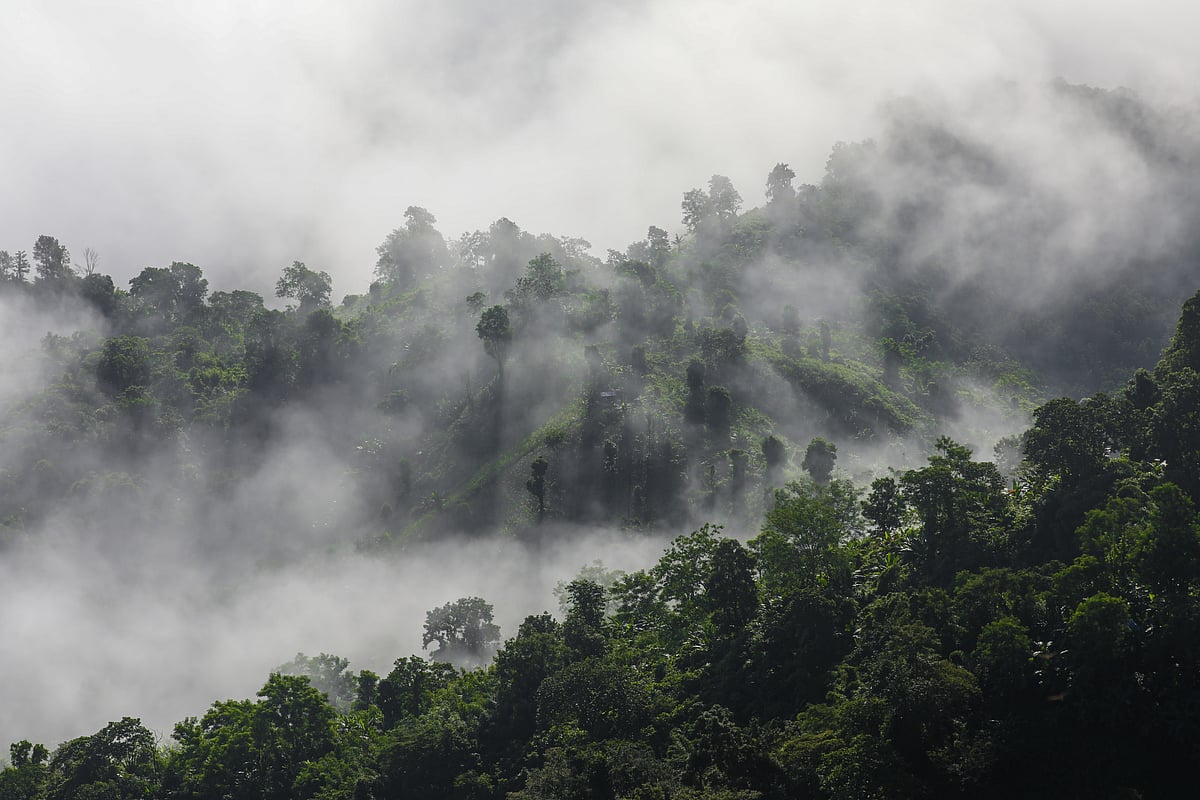 পাহাড়ের ঢাল বেয়ে মেঘের আনাগোনা