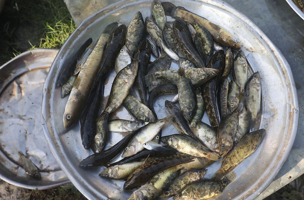 Plates of meni and taki waiting for buyers