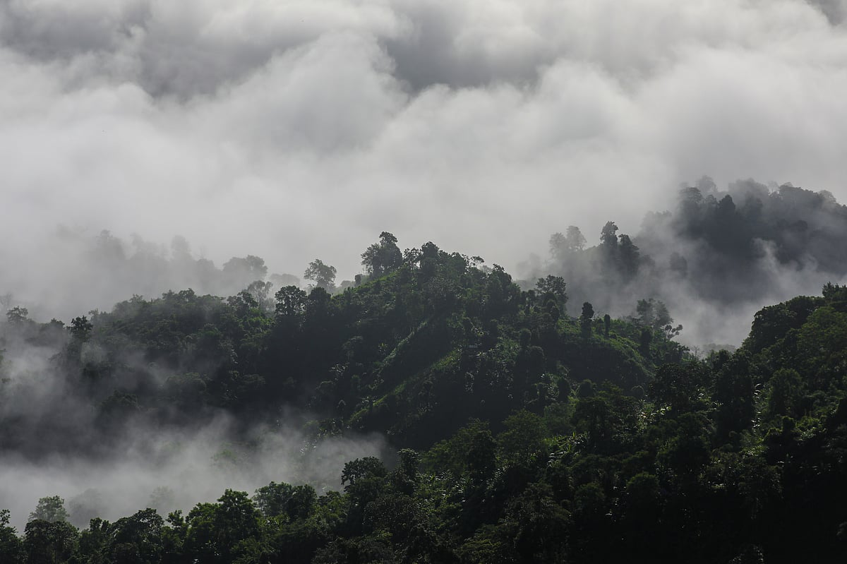 সবুজ পাহাড়ের ওপর ভেসে বেড়াচ্ছে সাদা মেঘ