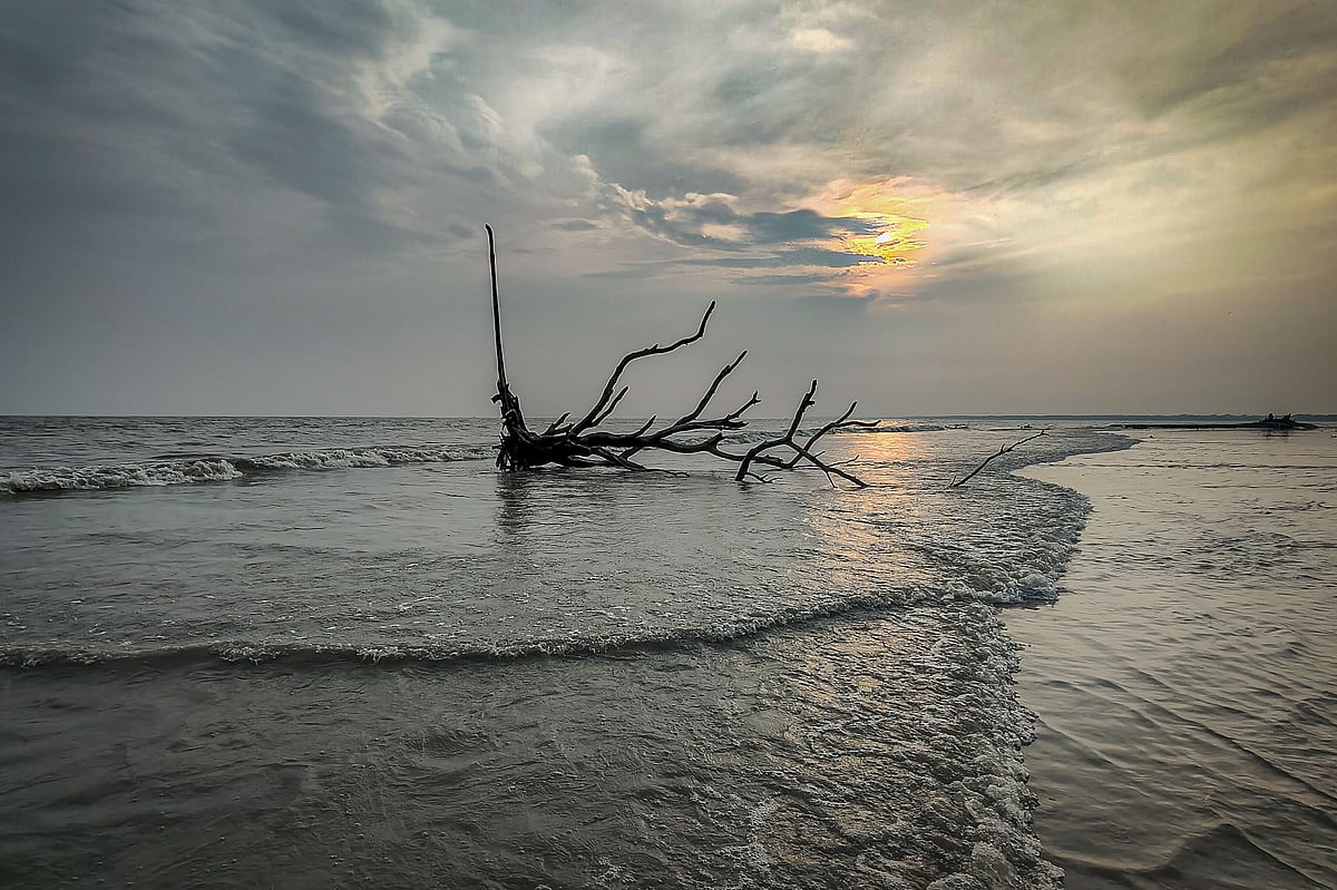 সৈকতে গোধূলি