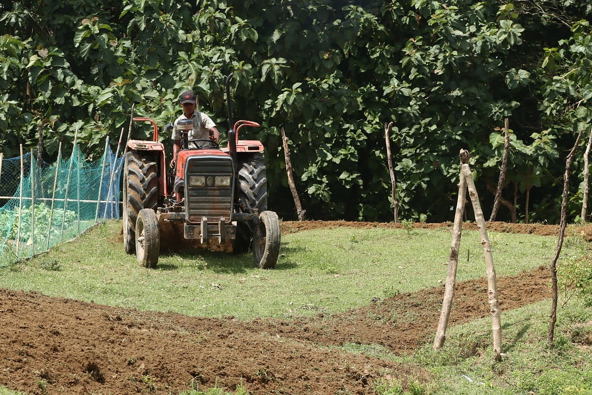 A tractor breaks up the soil to ready the land for a crop. Bhangamura, Bandarban, 28 September. Photo: Mong Hai Sing Marma