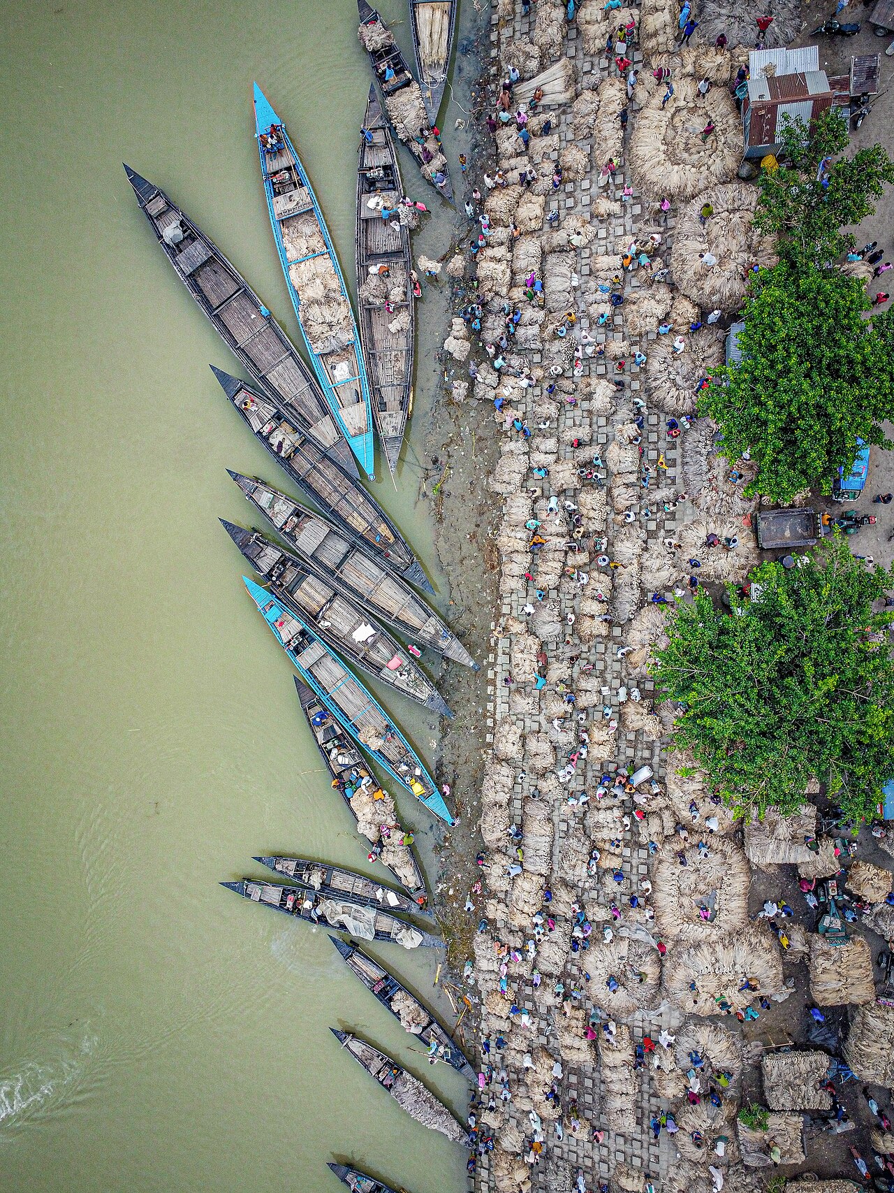 In pictures: jute markets, trap-caught fish, bean fields and water lilies