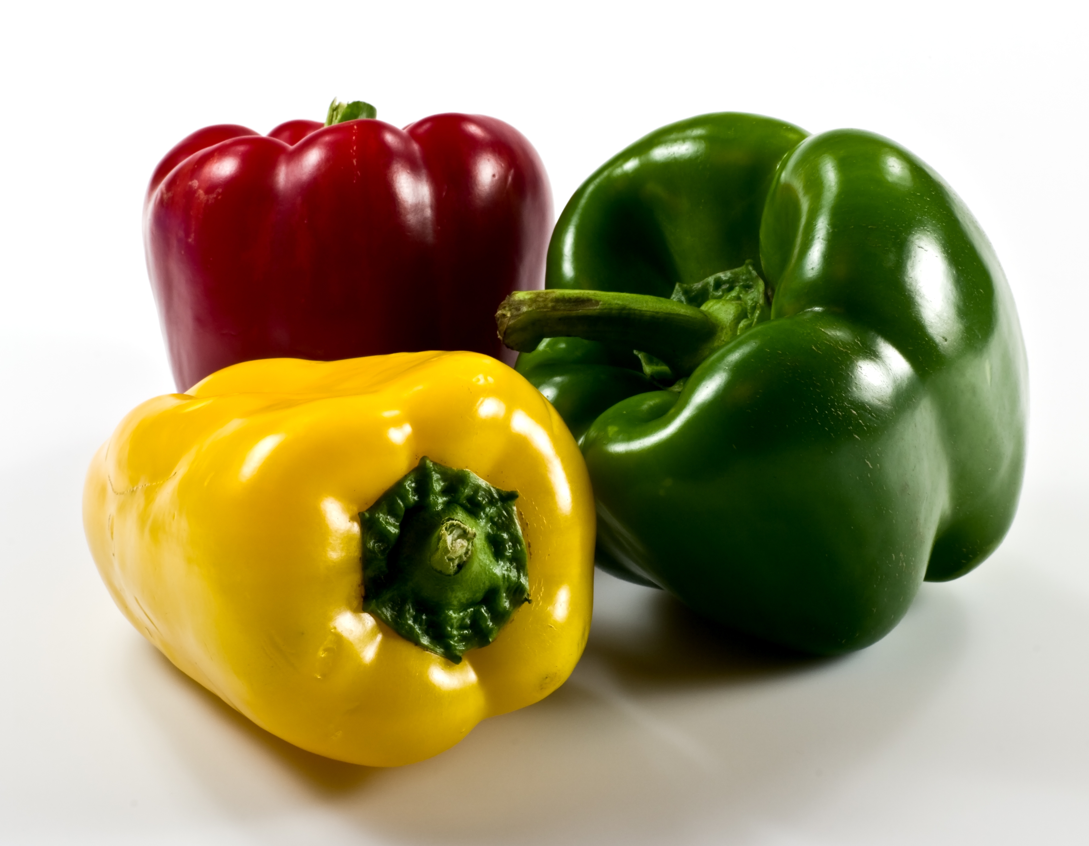 নানা রঙের ক্যাপসিকাম বা মিষ্টি মরিচ (Capsicum annuum)। ছবিটি প্রতীকী, সাভারে তোলা নয়। ছবি: Nikodem Nijaki / উইকিমিডিয়া কমন্স (CC BY-SA 3.0)
