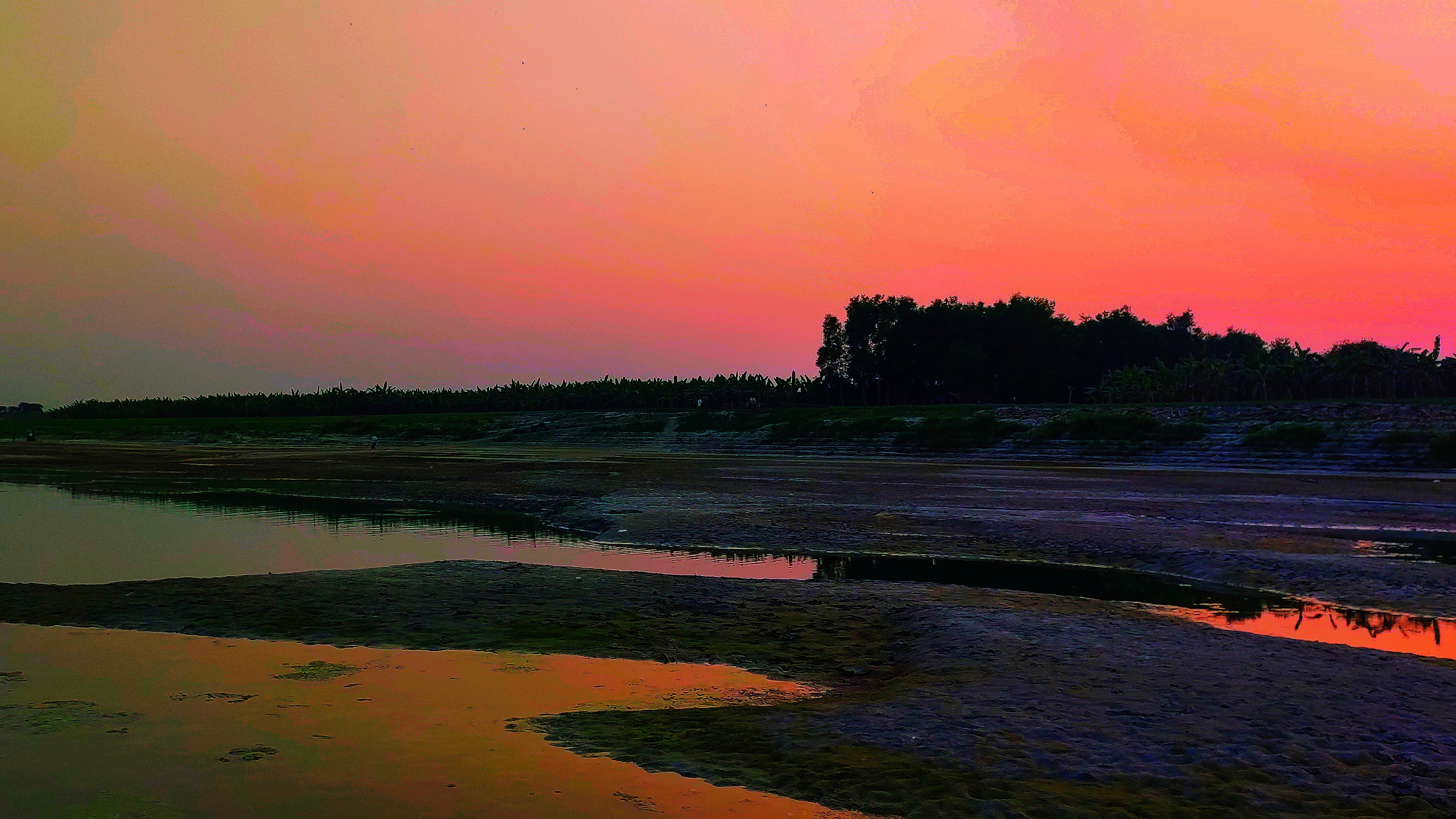 মাগুরায় গড়াই নদীর তীরের একটি গ্রামে সূর্যাস্ত। ছবি: Asm Dip / উইকিমিডিয়া কমন্স (CC BY-SA 4.0)