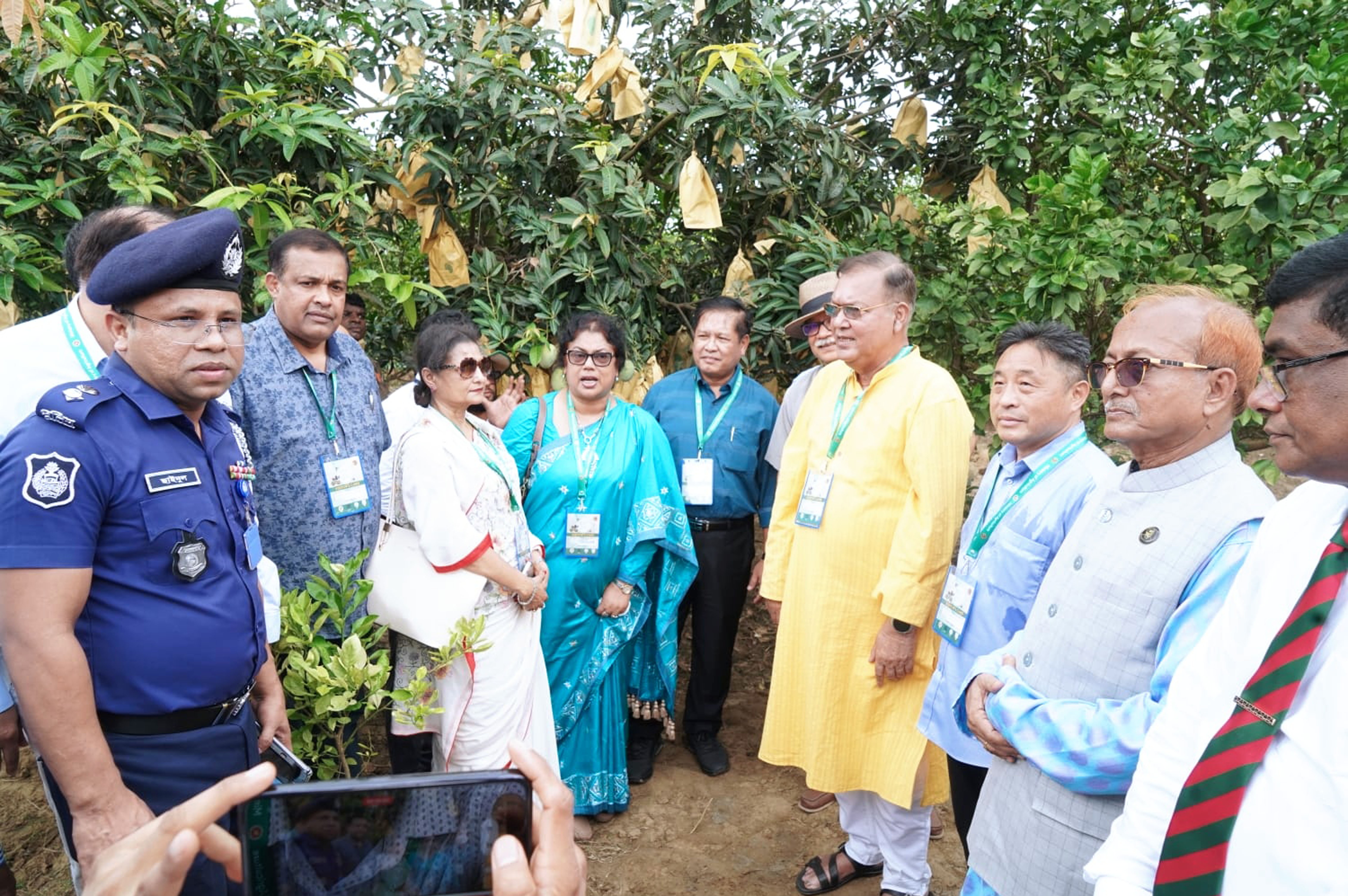 ২০২৪ সালের জুনে চাঁপাইনবাবগঞ্জের নাচোল উপজেলার কান্দবোনা গ্রামে উত্তম কৃষি চর্চায় পরিচালিত একটি আমবাগান। ছবি: প্রেস ইনফরমেশন ডিপার্টমেন্ট / উইকিমিডিয়া কমন্স (পাবলিক ডোমেইন)