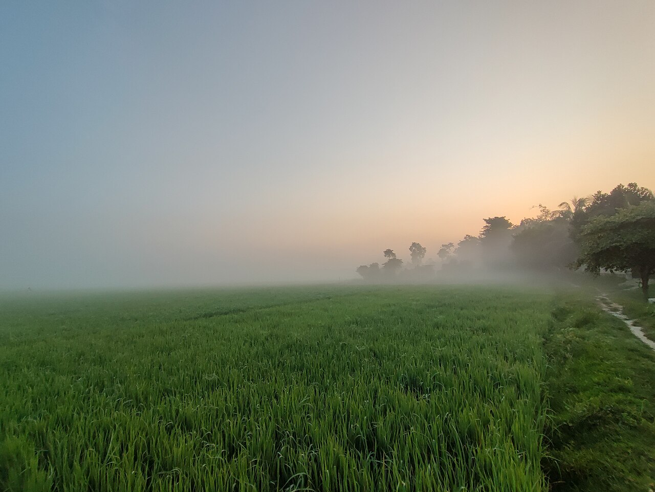 শরতের ভোরেই কুয়াশা, উত্তরের জেলাগুলোতে ঘন চাদরে ঢাকা মাঠঘাট