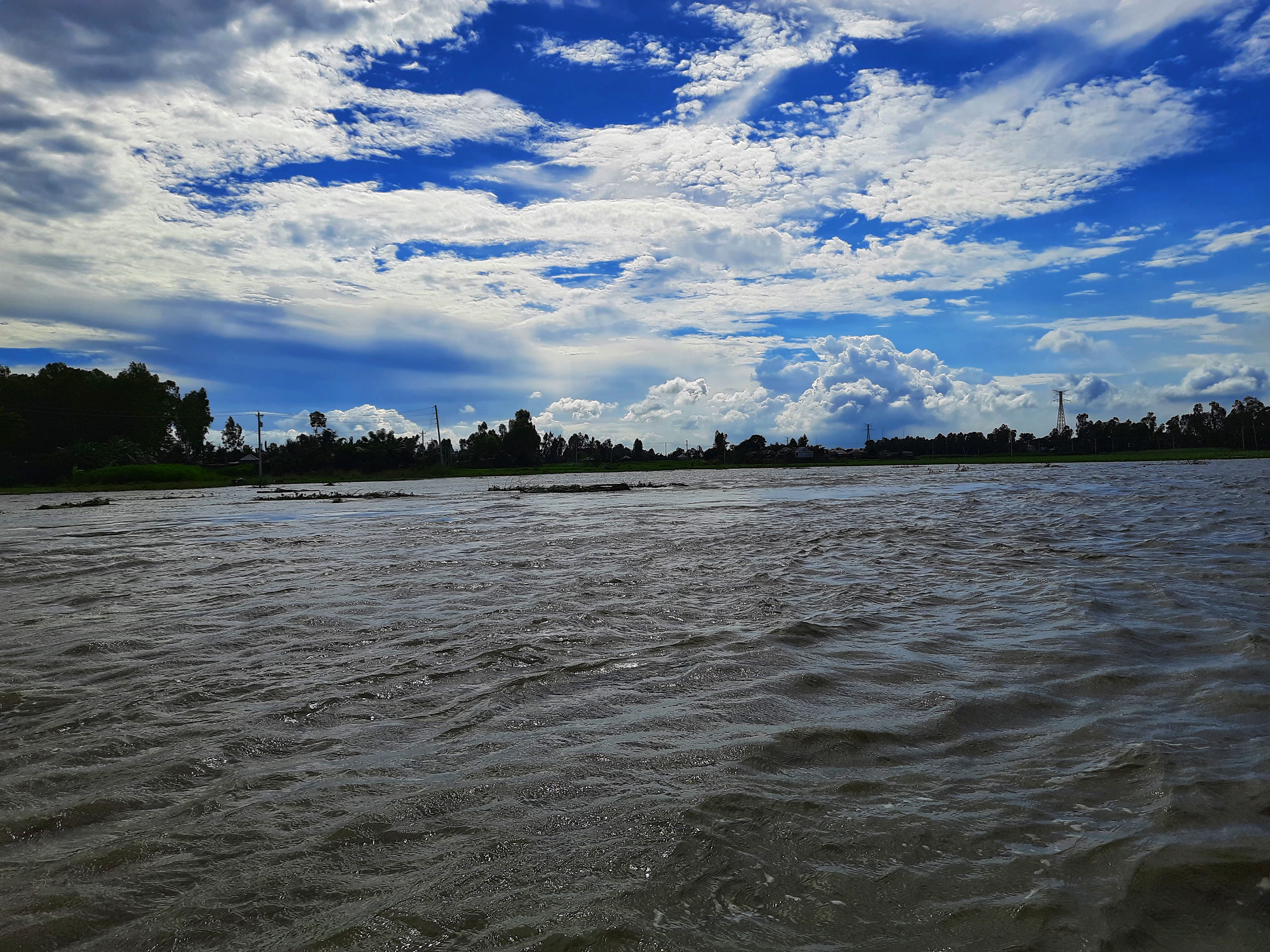 মানিকগঞ্জে পদ্মা নদীর পাড়, ২০২২ সালের জুলাইয়ে তোলা। ছবি: S.M.M.Musabbir Uddin / উইকিমিডিয়া কমন্স (CC BY-SA 4.0)