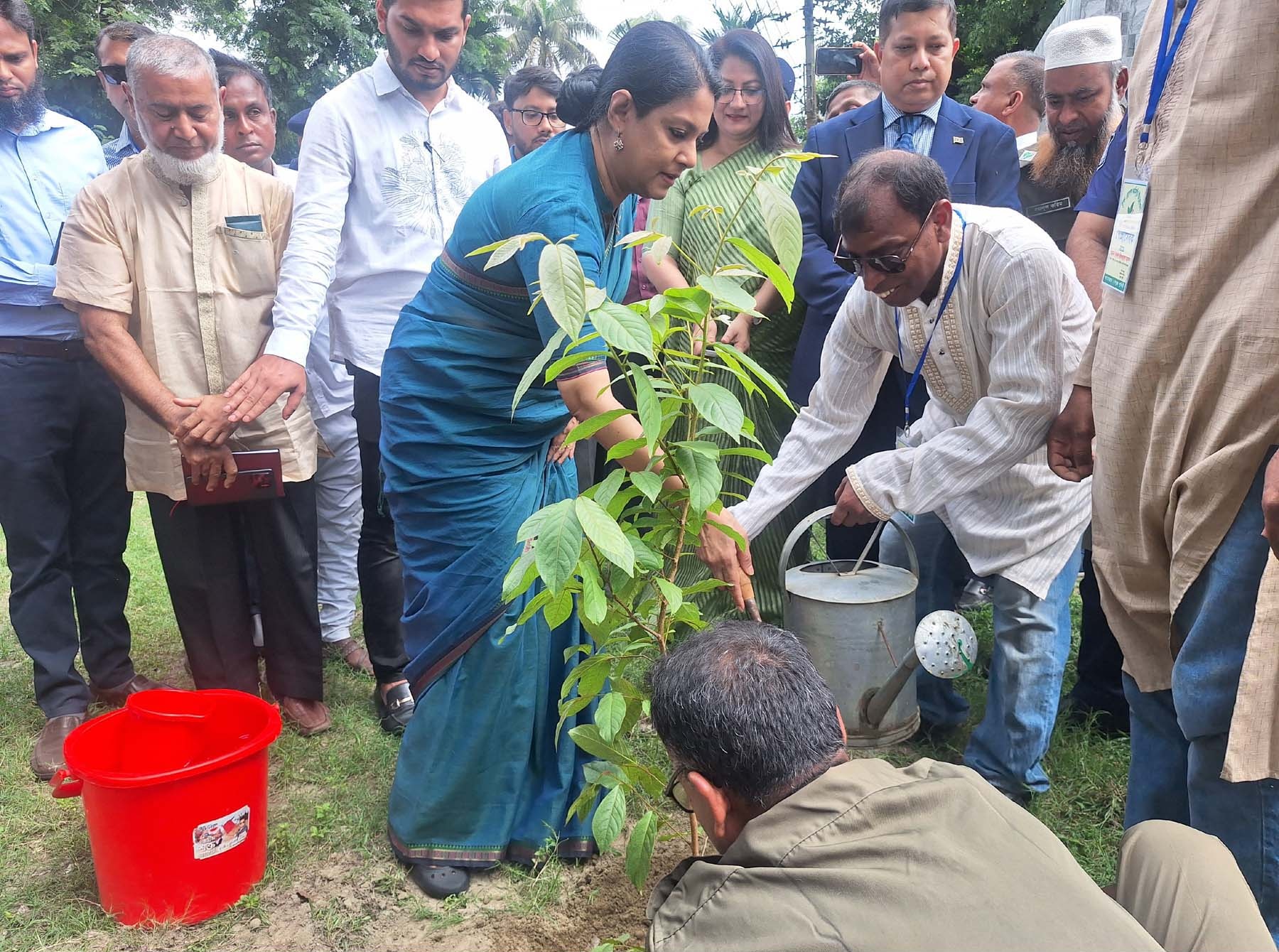 ২০২৫ সালের ২৫ মে টাঙ্গাইলে সরকারি চারা রোপণ কর্মসূচির উদ্বোধনে চারা লাগানো হচ্ছে। ছবি: Press Information Department / উইকিমিডিয়া কমন্স (পাবলিক ডোমেইন)