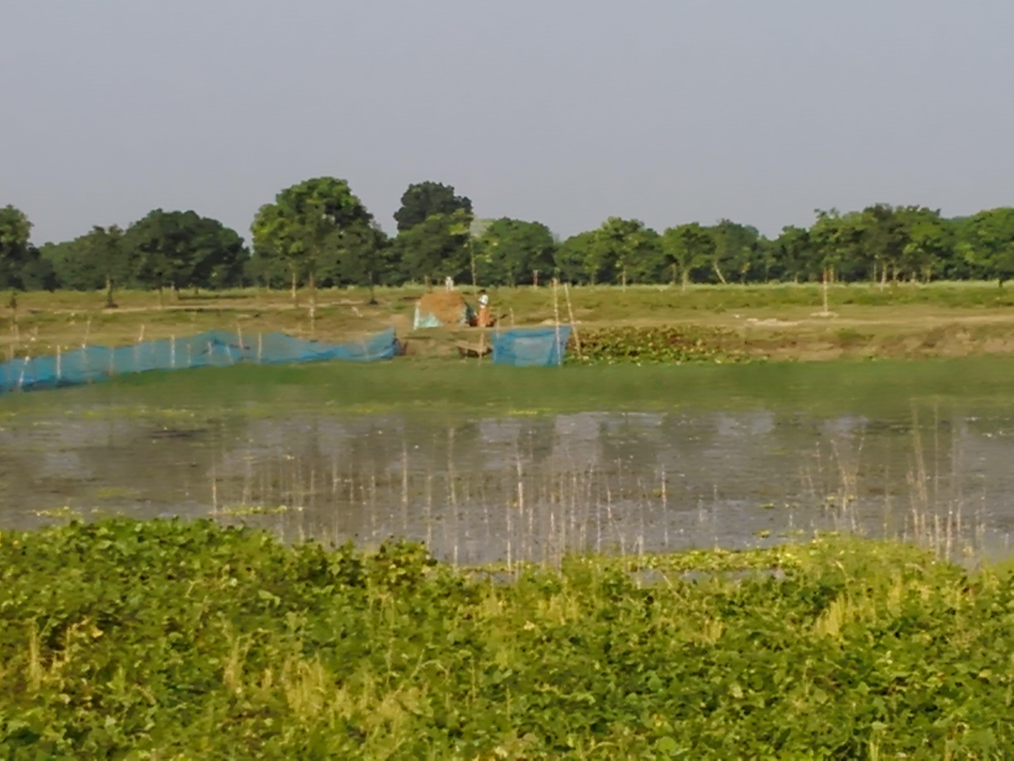 শিবগঞ্জ উপজেলার মনাকষা ইউনিয়নের সীমান্তবর্তী এলাকায় ভারত থেকে আসা একটি খাল ও তার পাশের সবুজ খেত। ছবি: Tosikul Alam / উইকিমিডিয়া কমন্স (CC BY-SA 4.0)