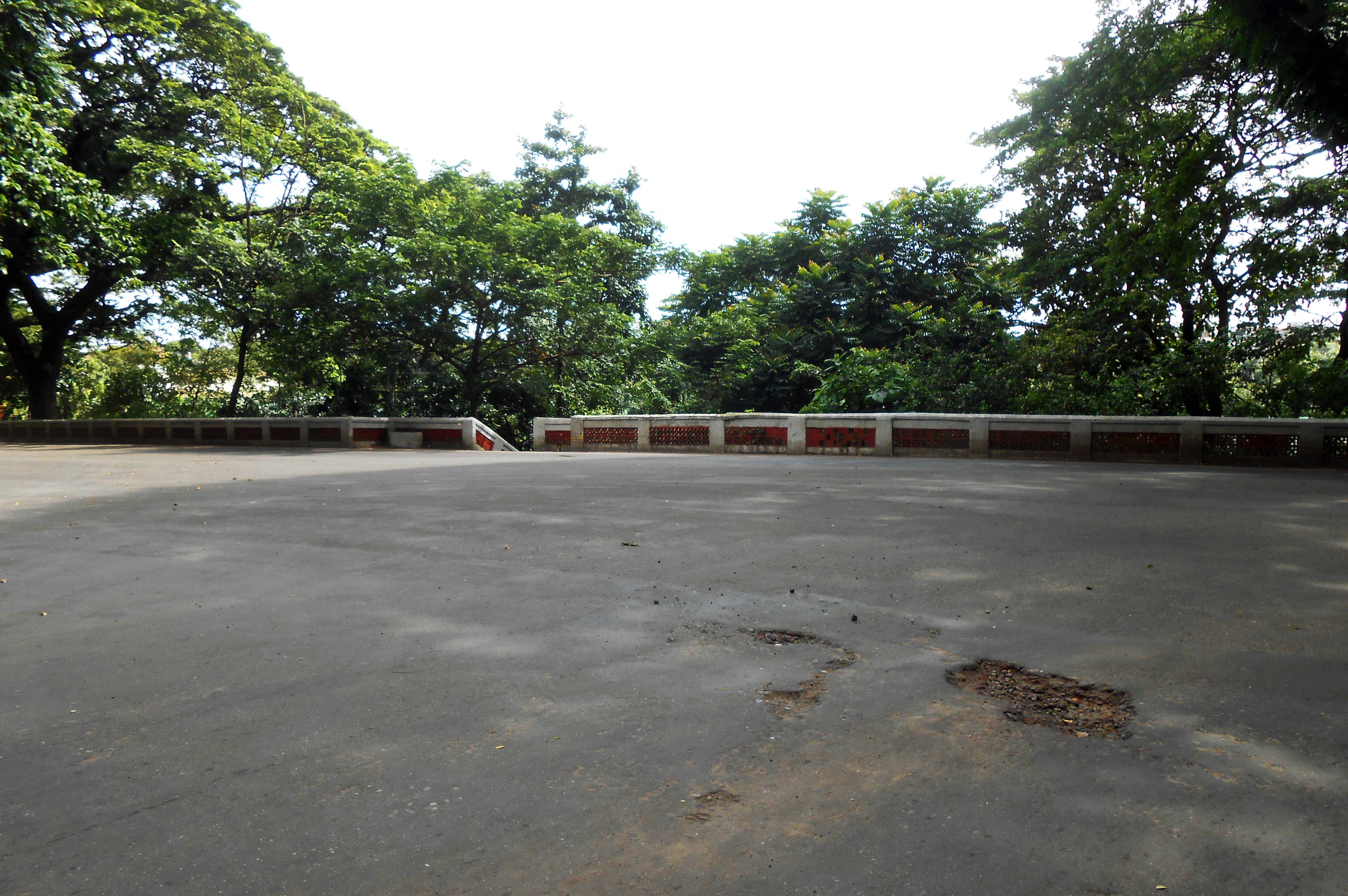 চট্টগ্রামের টাইগারপাস সড়ক (২০১৪ সালে তোলা)। ছবি: Moheen Reeyad / উইকিমিডিয়া কমন্স (CC BY-SA 4.0)
