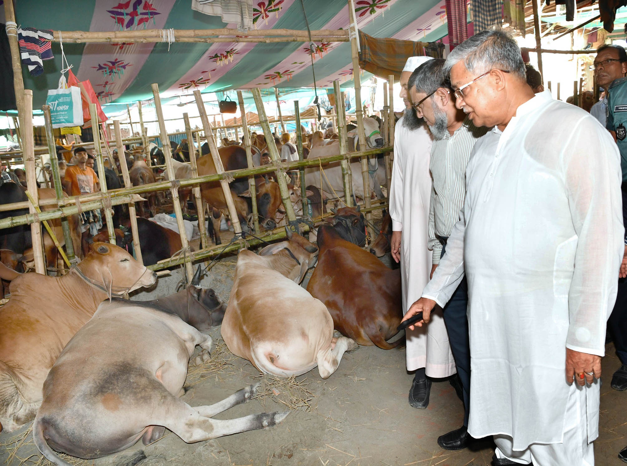রাজধানীর সবচেয়ে বড় পশুর হাট গাবতলী, ২০১৮ সালের ১৯ আগস্ট তৎকালীন মৎস্য ও প্রাণিসম্পদমন্ত্রীর পরিদর্শনের সময়। ছবি: তথ্য অধিদফতর (পিআইডি) / উইকিমিডিয়া কমন্স (পাবলিক ডোমেইন)