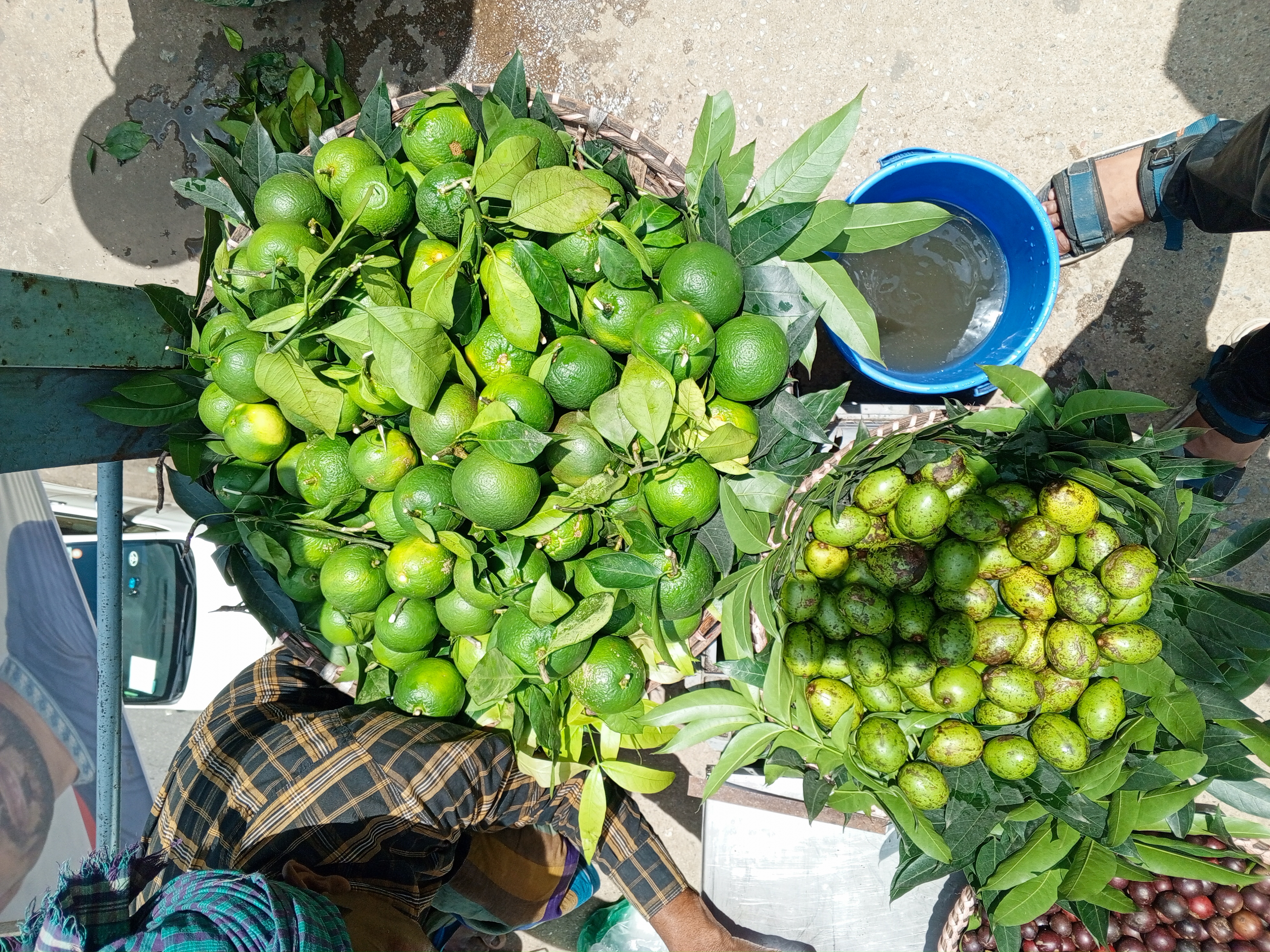 ঢাকার শ্যামলীতে পদচারী-সেতুর ওপর বিক্রেতার কাছে আমড়া ও সবুজ কমলা, ২০২৫ সালের আগস্ট। ছবি: Tausheef Hassan Auntu / উইকিমিডিয়া কমন্স (CC BY-SA 4.0)