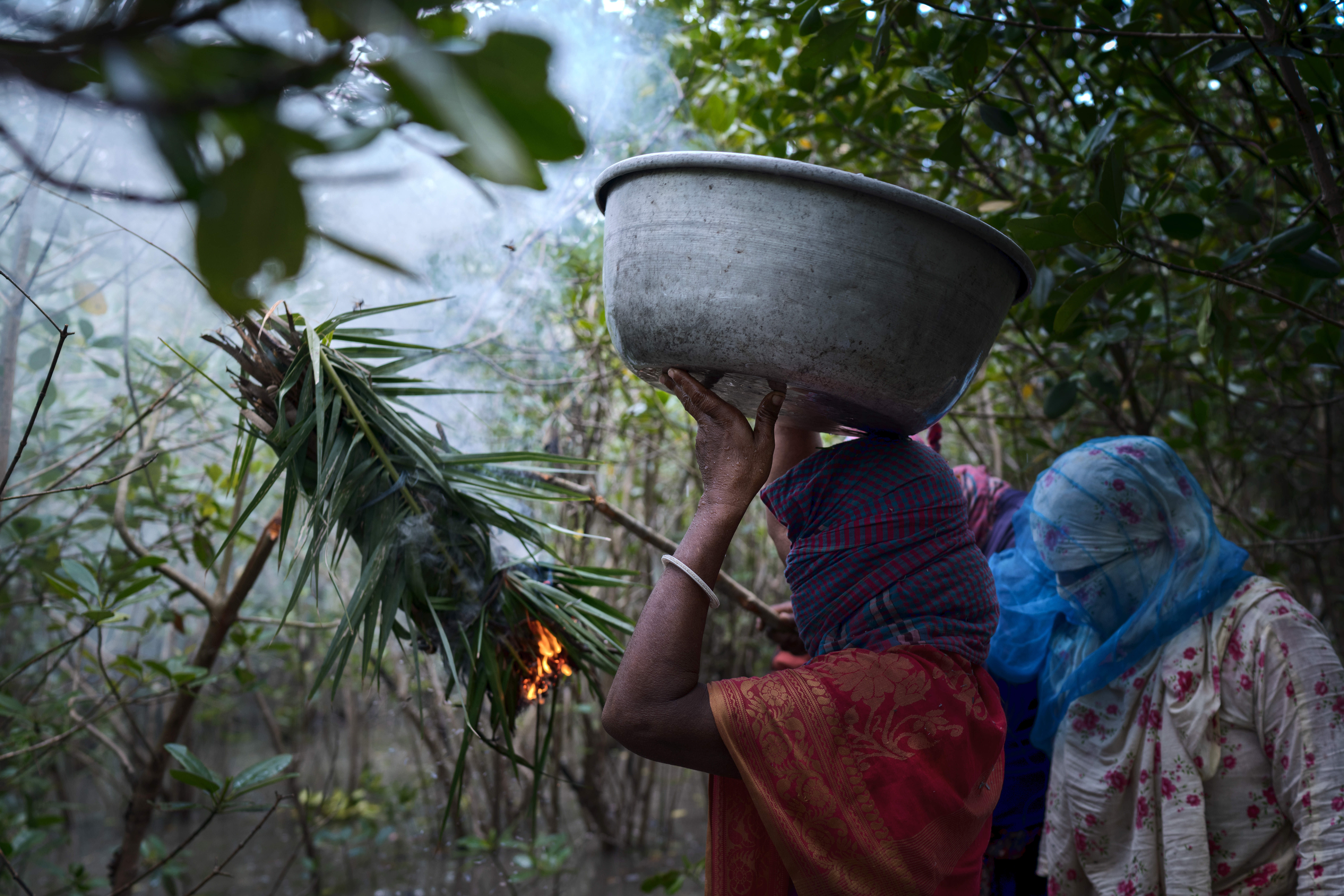 বাংলাদেশের সুন্দরবনে মধু সংগ্রহ করছেন মৌয়ালরা, ২০২৪ সালের জুন। ছবি: MohammadRakibulHasan1977 / উইকিমিডিয়া কমন্স (CC BY 4.0)