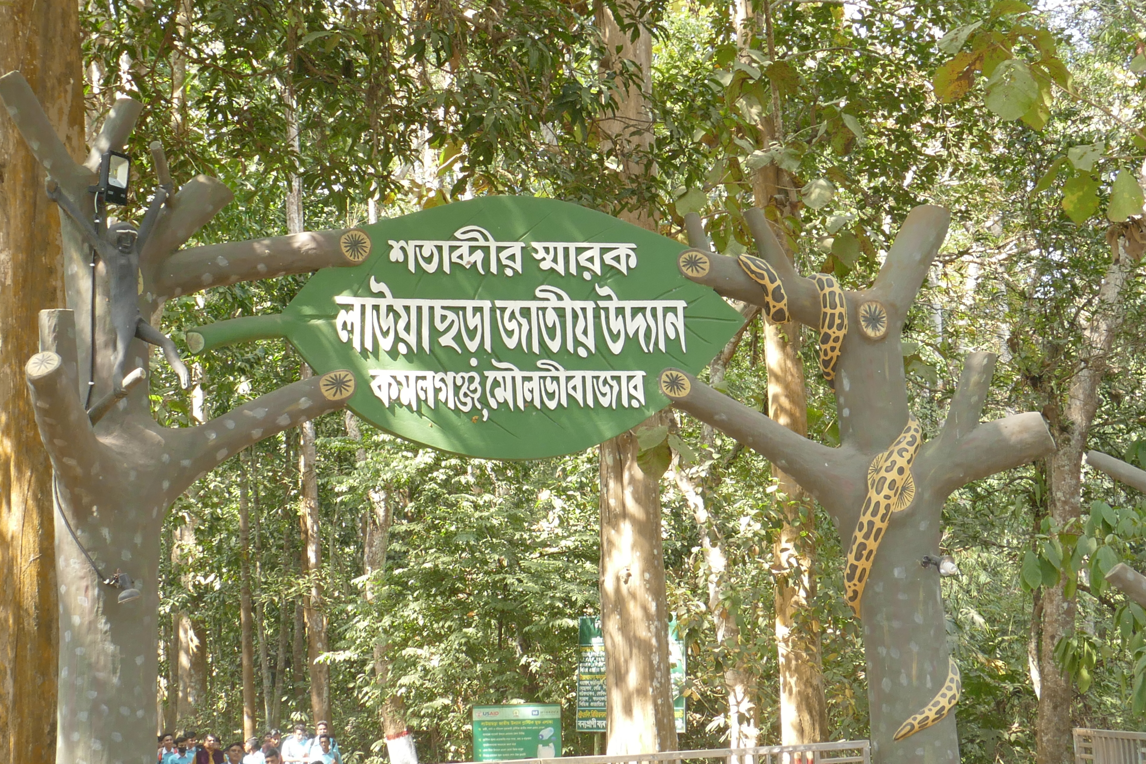 মৌলভীবাজারের লাউয়াছড়া জাতীয় উদ্যানের বন, ২০২০ সালে তোলা। ছবি: Kritzolina / উইকিমিডিয়া কমন্স (CC BY-SA 4.0)