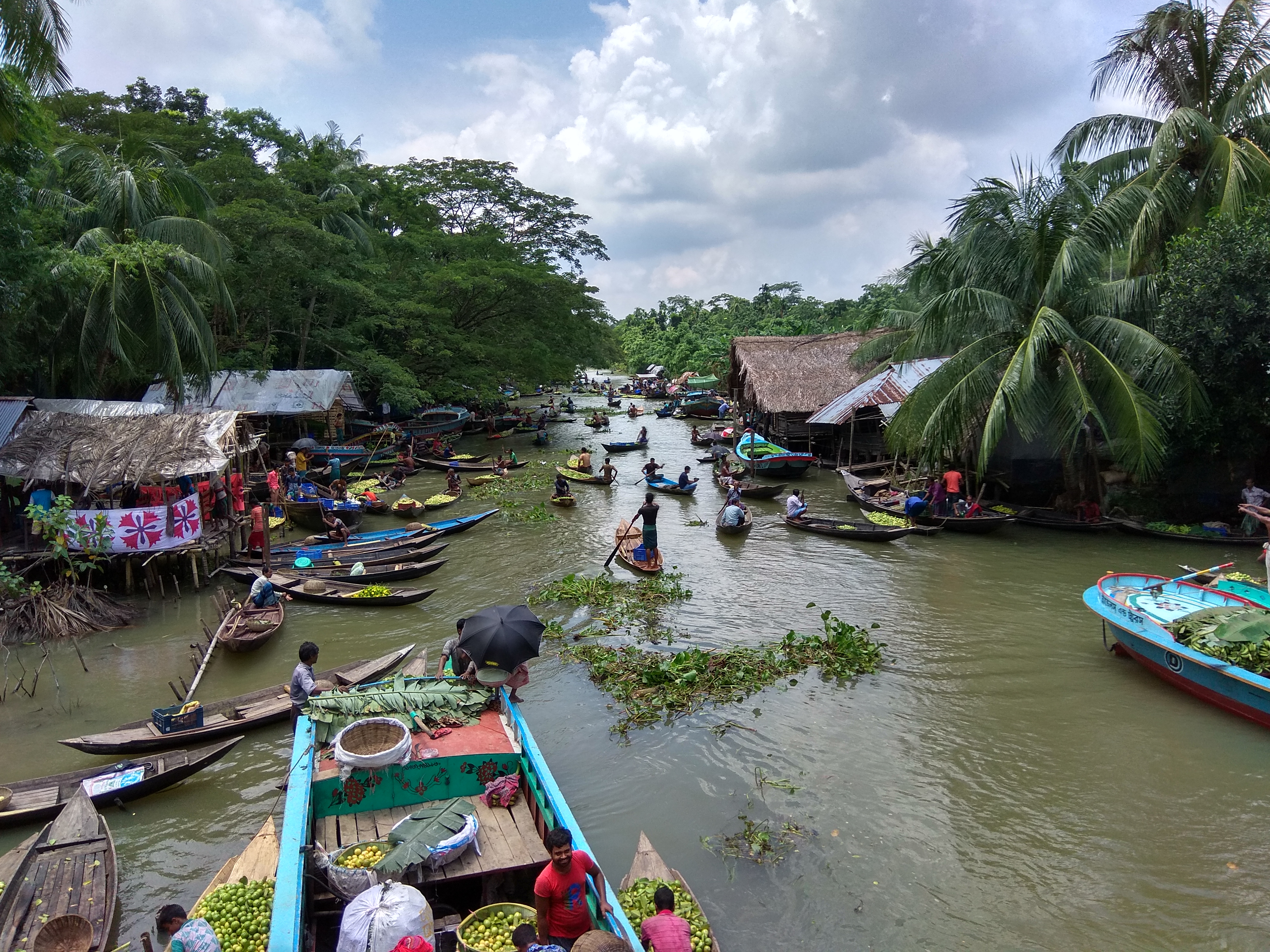 ঝালকাঠির ভীমরুলীর ভাসমান পেয়ারার হাট, ২০১৭ সালের জুলাইয়ে তোলা। ছবি: Lonely Explorer / উইকিমিডিয়া কমন্স (CC BY-SA 4.0)