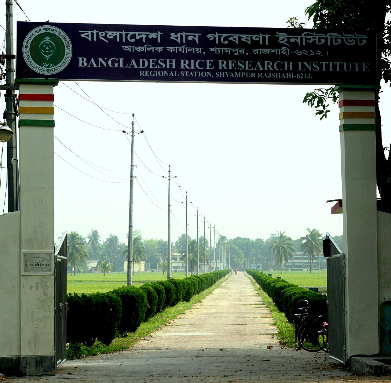 রাজশাহীর শ্যামপুরে বাংলাদেশ ধান গবেষণা ইনস্টিটিউটের আঞ্চলিক কার্যালয়ের ফটক। ছবি: Omitab obak / উইকিমিডিয়া কমন্স (CC BY-SA 4.0)