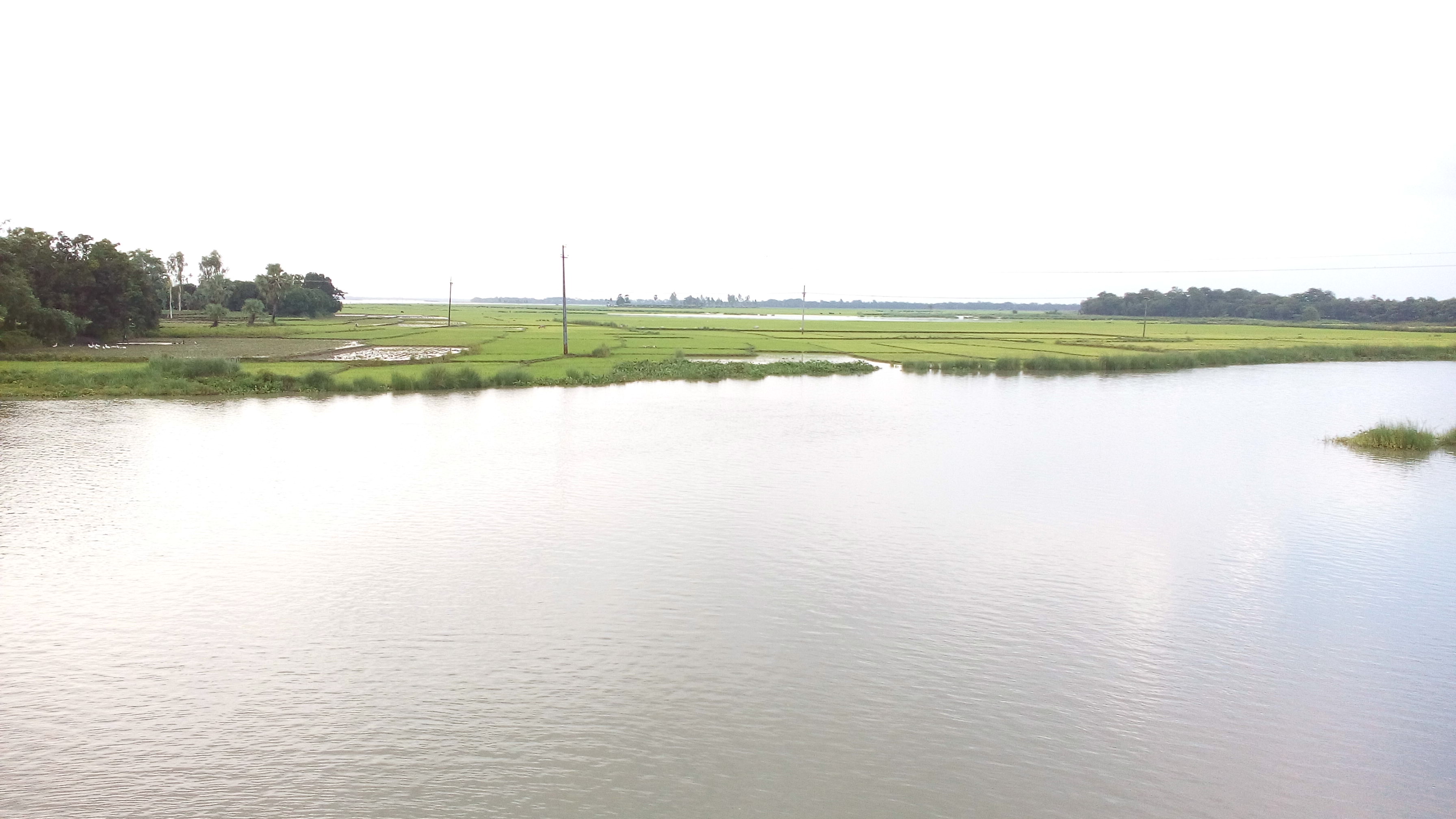 রাজশাহীর তানোর উপজেলার বুরুজ গ্রামে শিব নদীর সেতু থেকে তোলা বিলকুমারী বিলের একাংশ। ছবি: Abdur Rakib / উইকিমিডিয়া কমন্স (CC BY-SA 4.0)