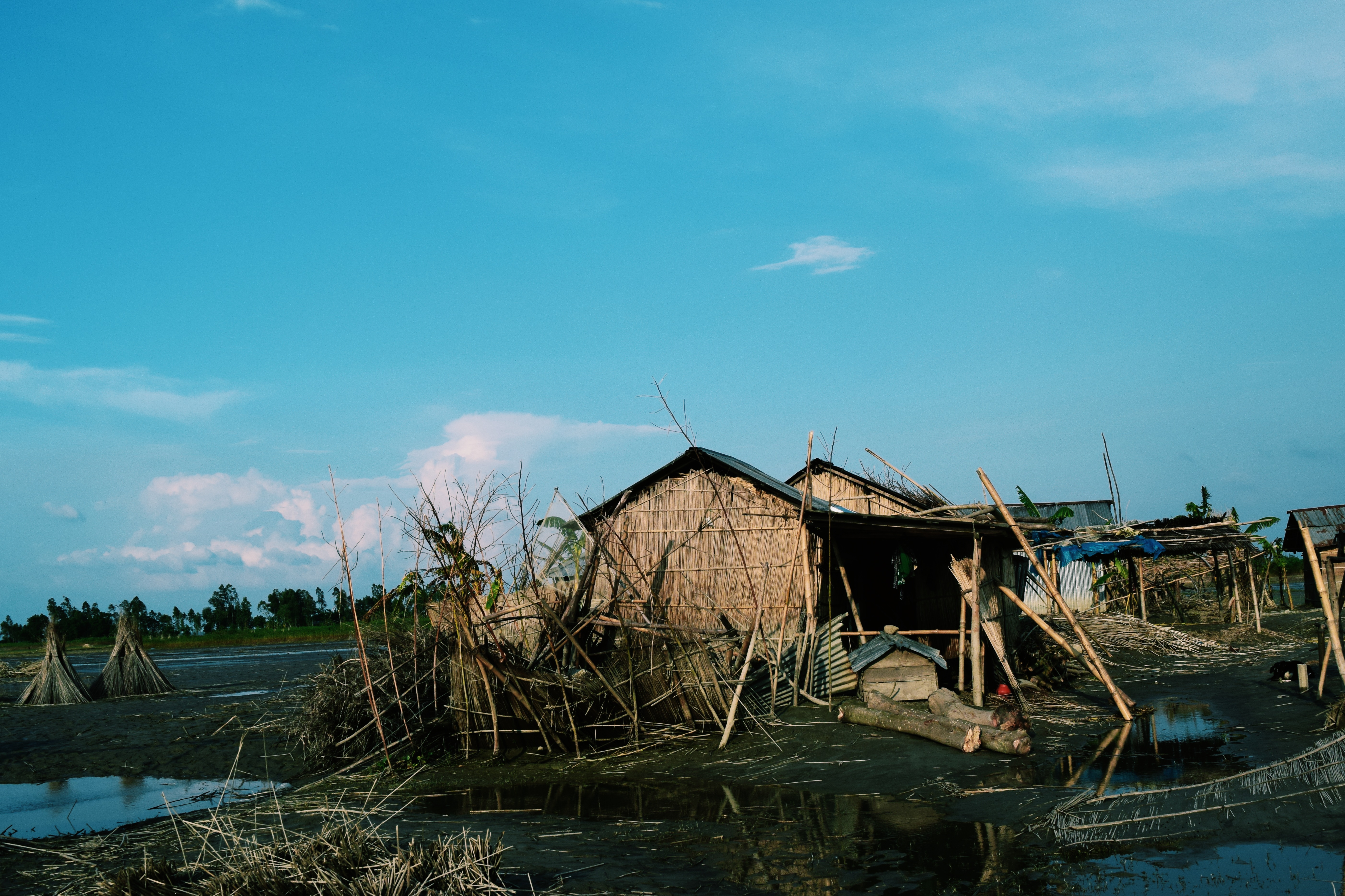 বগুড়ার সারিয়াকান্দিতে যমুনা নদীর বন্যাপ্রবণ চরের একটি বসতি, ২০১৬ সালের আগস্টে তোলা। ছবি: TausifAlHossain / উইকিমিডিয়া কমন্স (CC BY-SA 4.0)