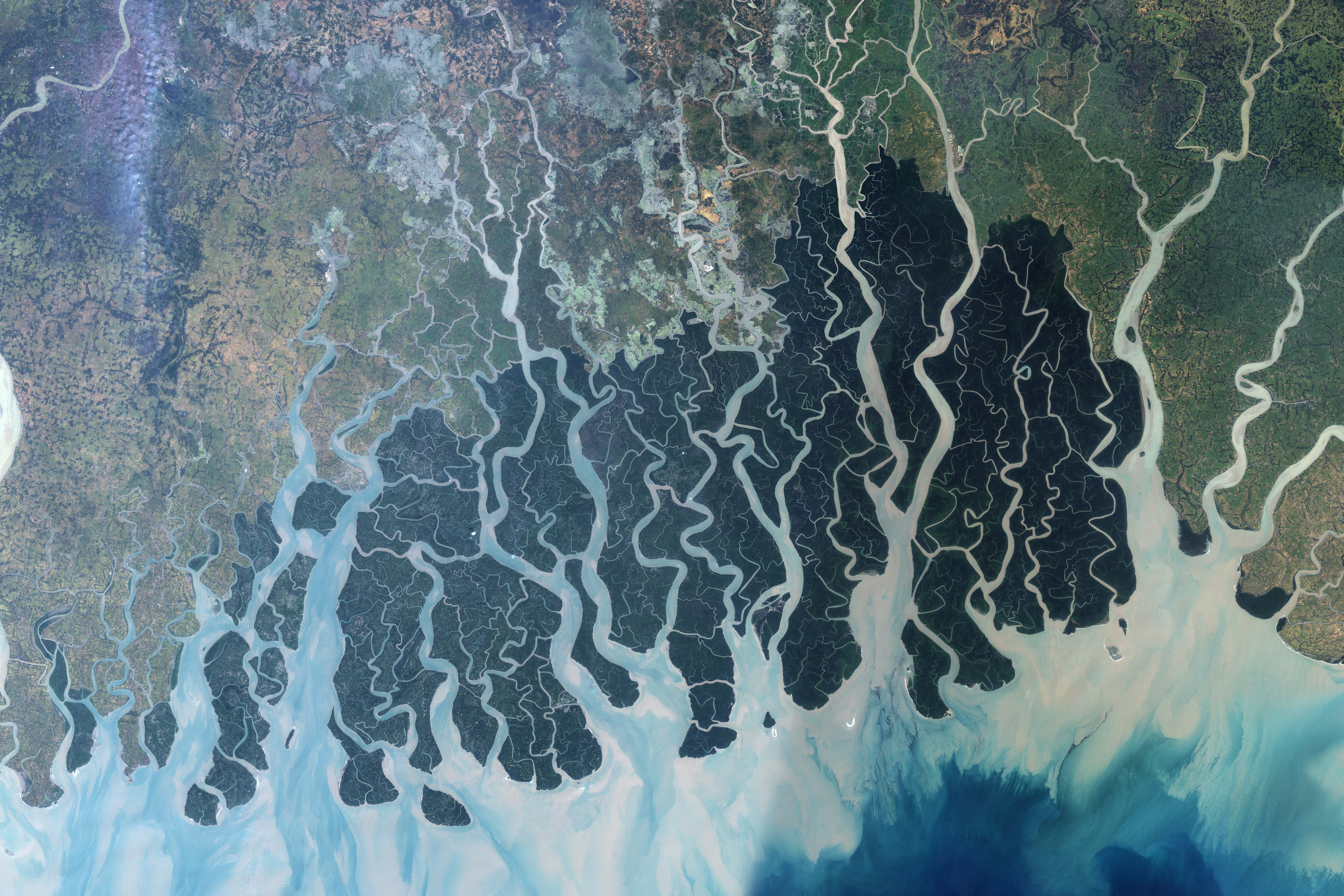 ১৯৯৯ সালের নভেম্বর ও ২০০০ সালের নভেম্বরের পর্যবেক্ষণ মিলিয়ে তৈরি নাসার ল্যান্ডস্যাট ৭ উপগ্রহচিত্রে বাংলাদেশ ও ভারতের উপকূলের সুন্দরবন ম্যানগ্রোভ বন। ছবি: NASA Earth Observatory (Jesse Allen) / উইকিমিডিয়া কমন্স (পাবলিক ডোমেইন)