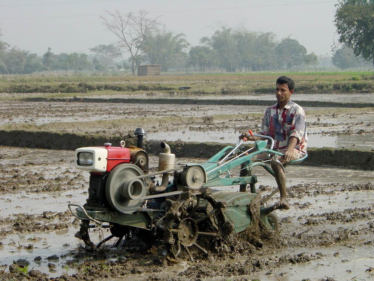 A two-wheel tractor puddling a rice field in Dinajpur. Photo: SEJustice / Wikimedia Commons (CC BY-SA 3.0)