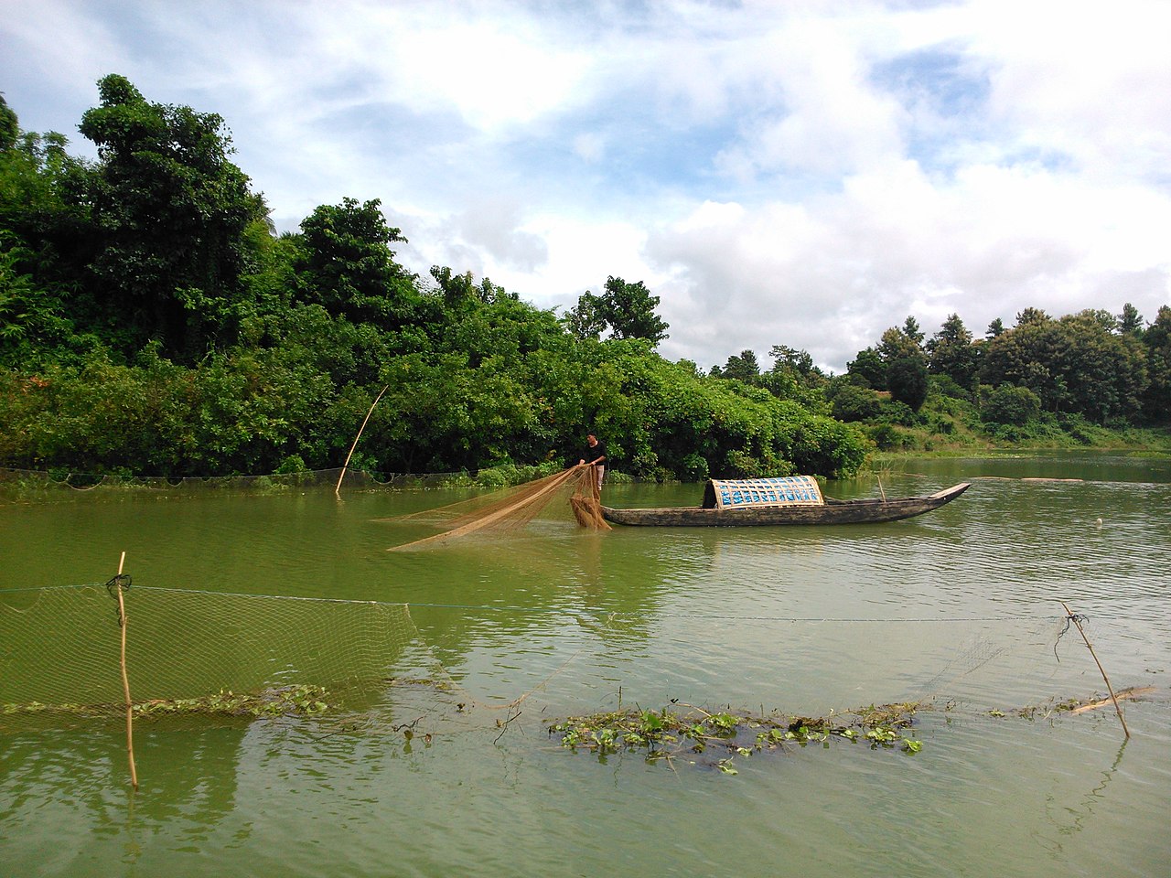 A day in Bangladesh: fishing on Kaptai Lake, cauliflower fields and lotus