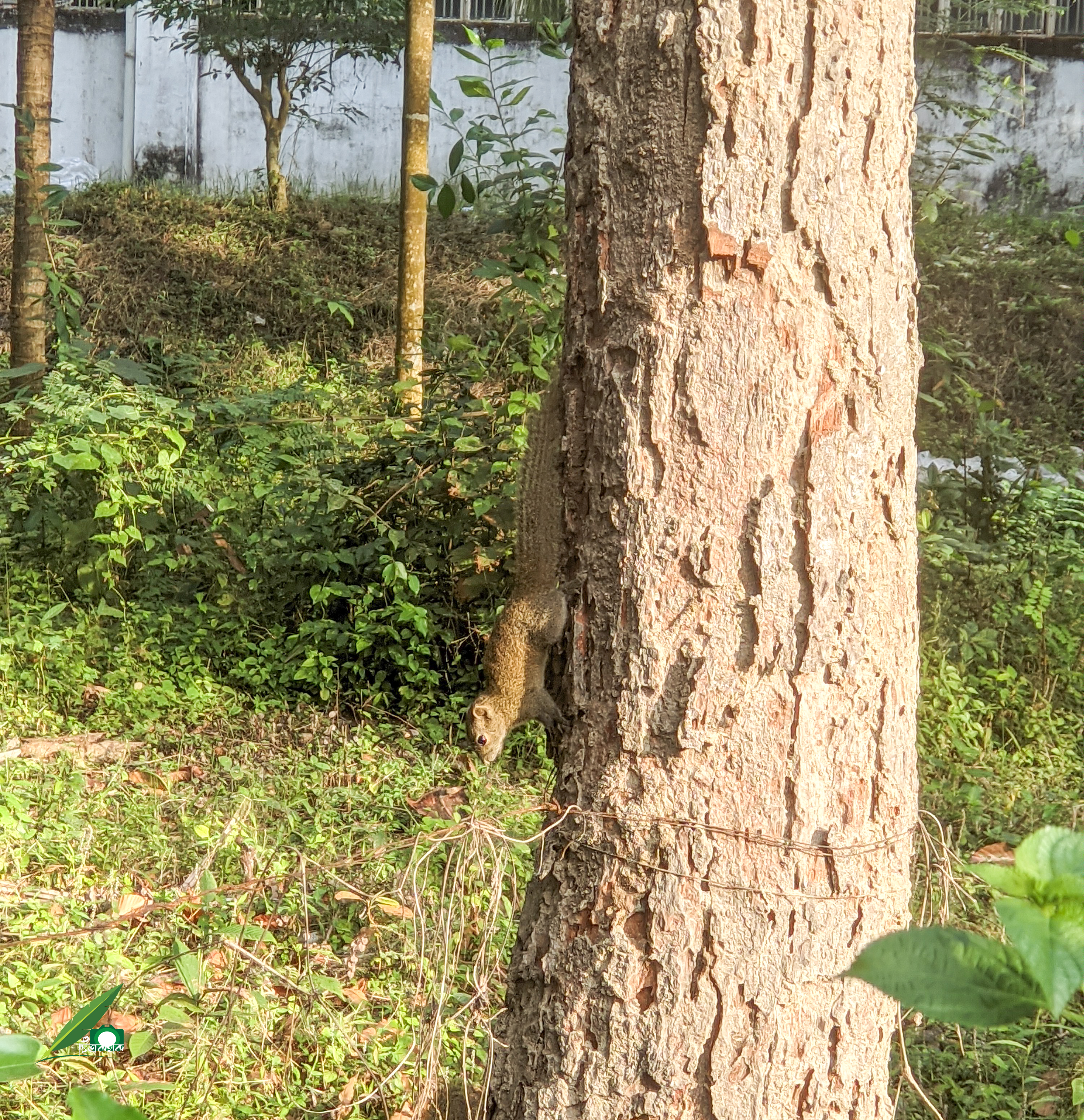 চট্টগ্রাম বিশ্ববিদ্যালয় ক্যাম্পাস। ছবি: চিত্রকথক / উইকিমিডিয়া কমন্স (CC BY-SA 4.0)