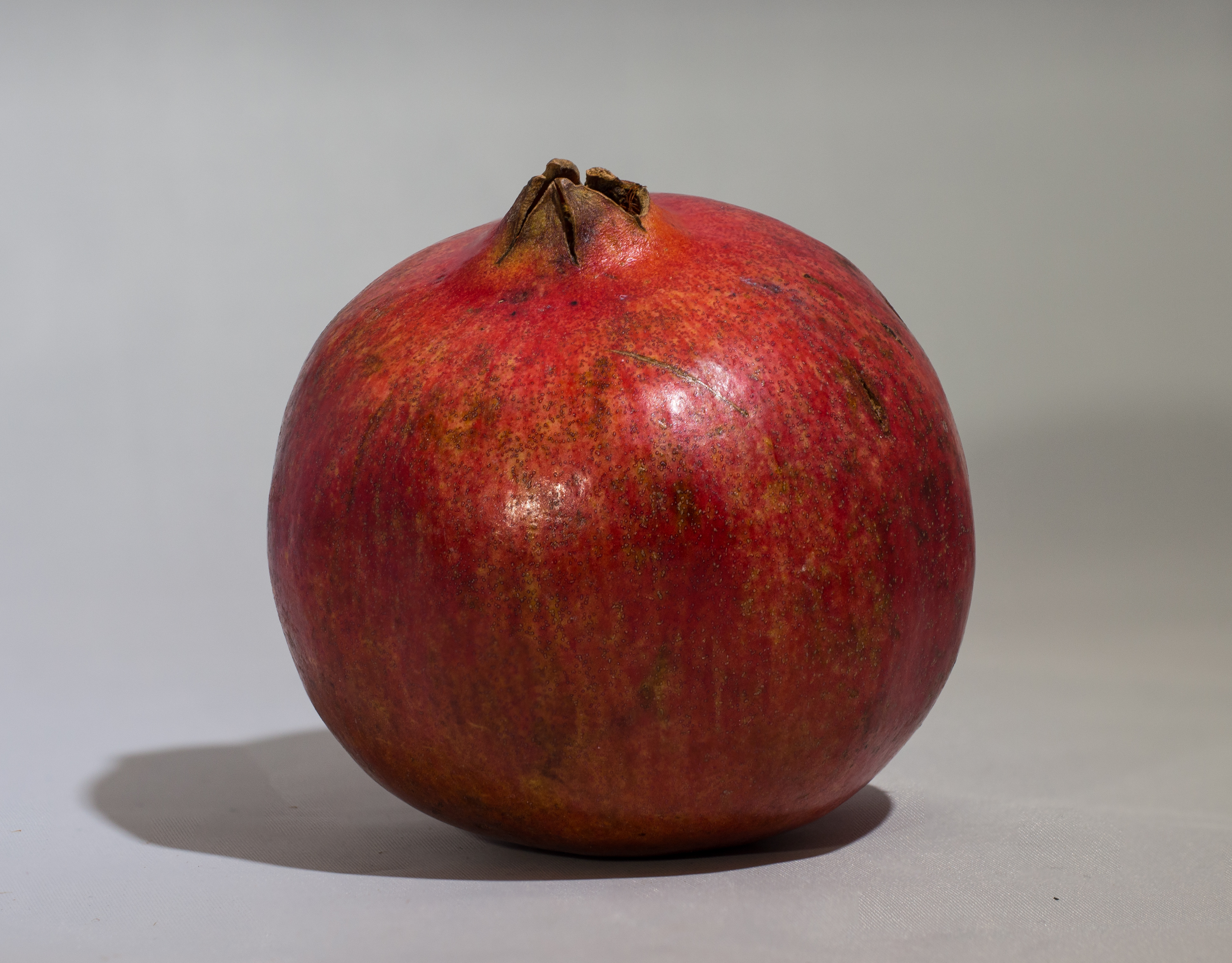 বেদানা বা ডালিম। ছবি: Rhododendrites / উইকিমিডিয়া কমন্স (CC BY-SA 4.0)