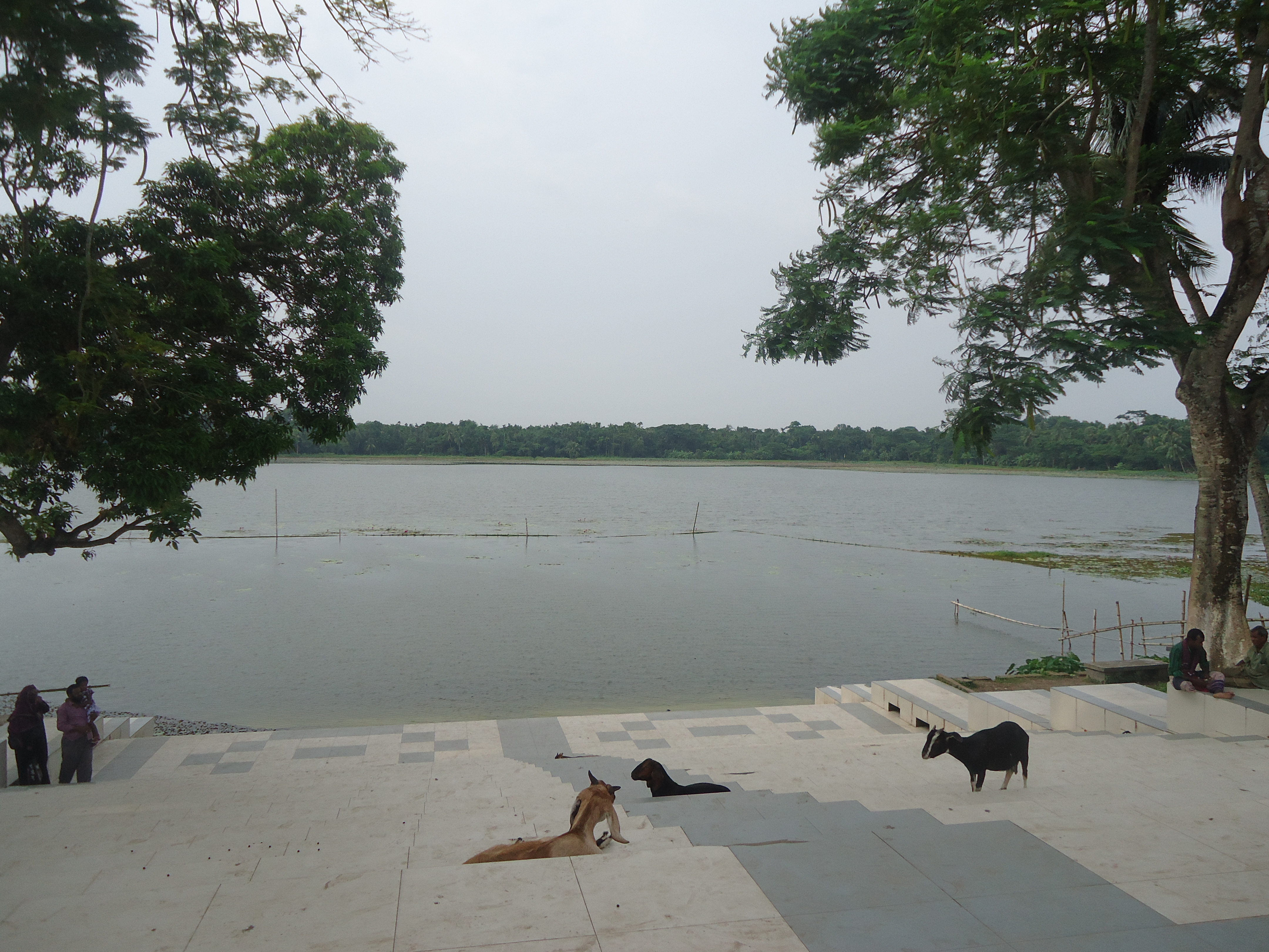 বাগেরহাটে খানজাহান আলীর সমাধির পাশের বড় দিঘি, ২০১০ সালের জানুয়ারিতে তোলা। ছবি: Md. Imran Hossain Molla / উইকিমিডিয়া কমন্স (CC BY-SA 4.0)