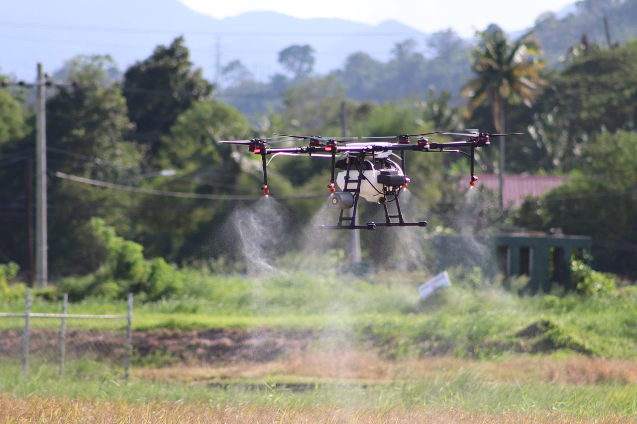 An agricultural drone demonstrated over a rice field (IRRI). Photo: Christopher Hedreyd - PIA 4A CALABARZON / Wikimedia Commons (Public domain)