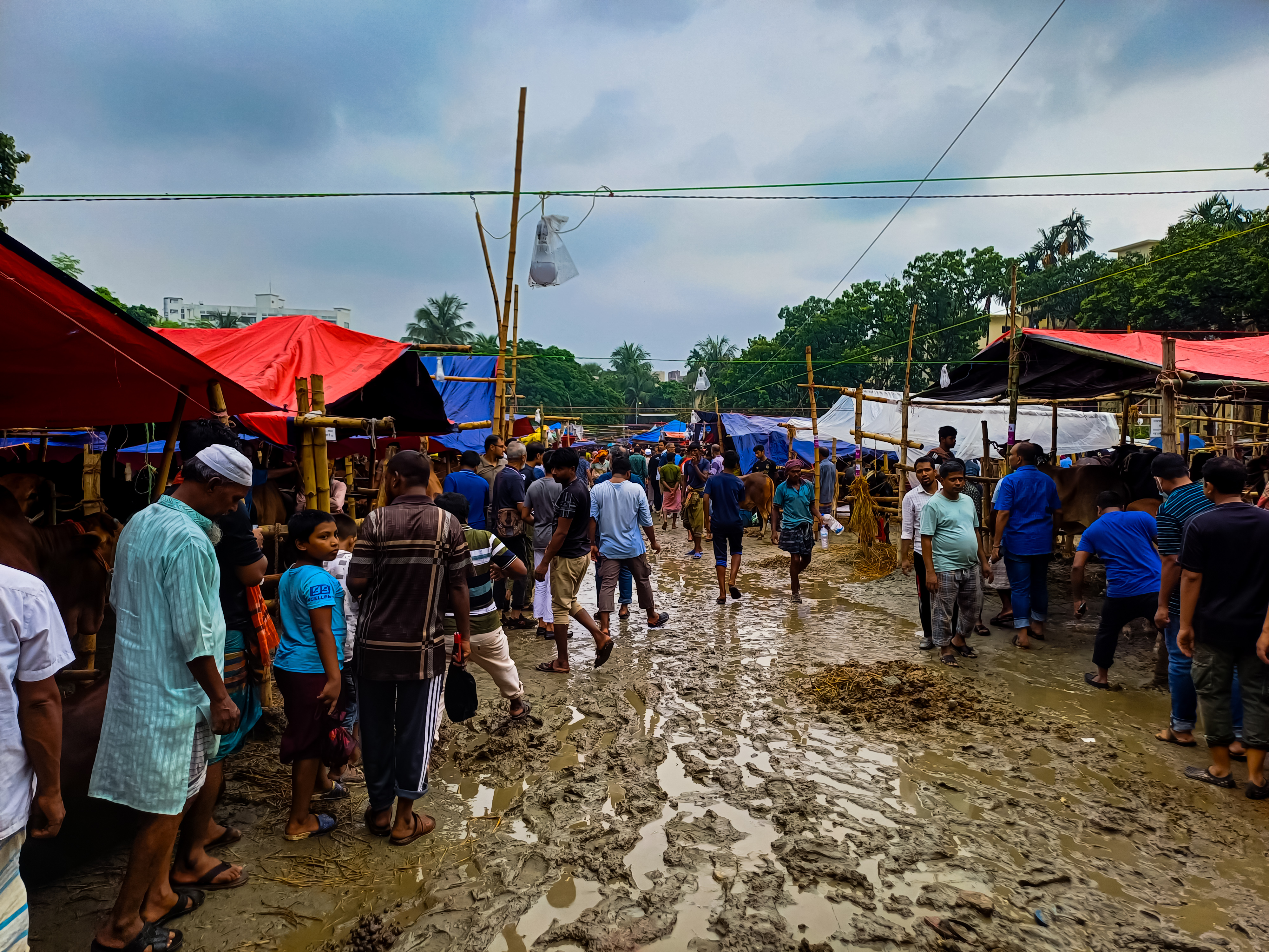 ঢাকার শাহজাহানপুরের গরু-ছাগলের হাট, জুন ২০২৫। উত্তর শাহজাহানপুর এলাকা ২০২৬ সালেও ডিএসসিসির খসড়া হাট তালিকায় ছিল। ছবি: S.M.M.Musabbir Uddin / উইকিমিডিয়া কমন্স (CC BY-SA 4.0)