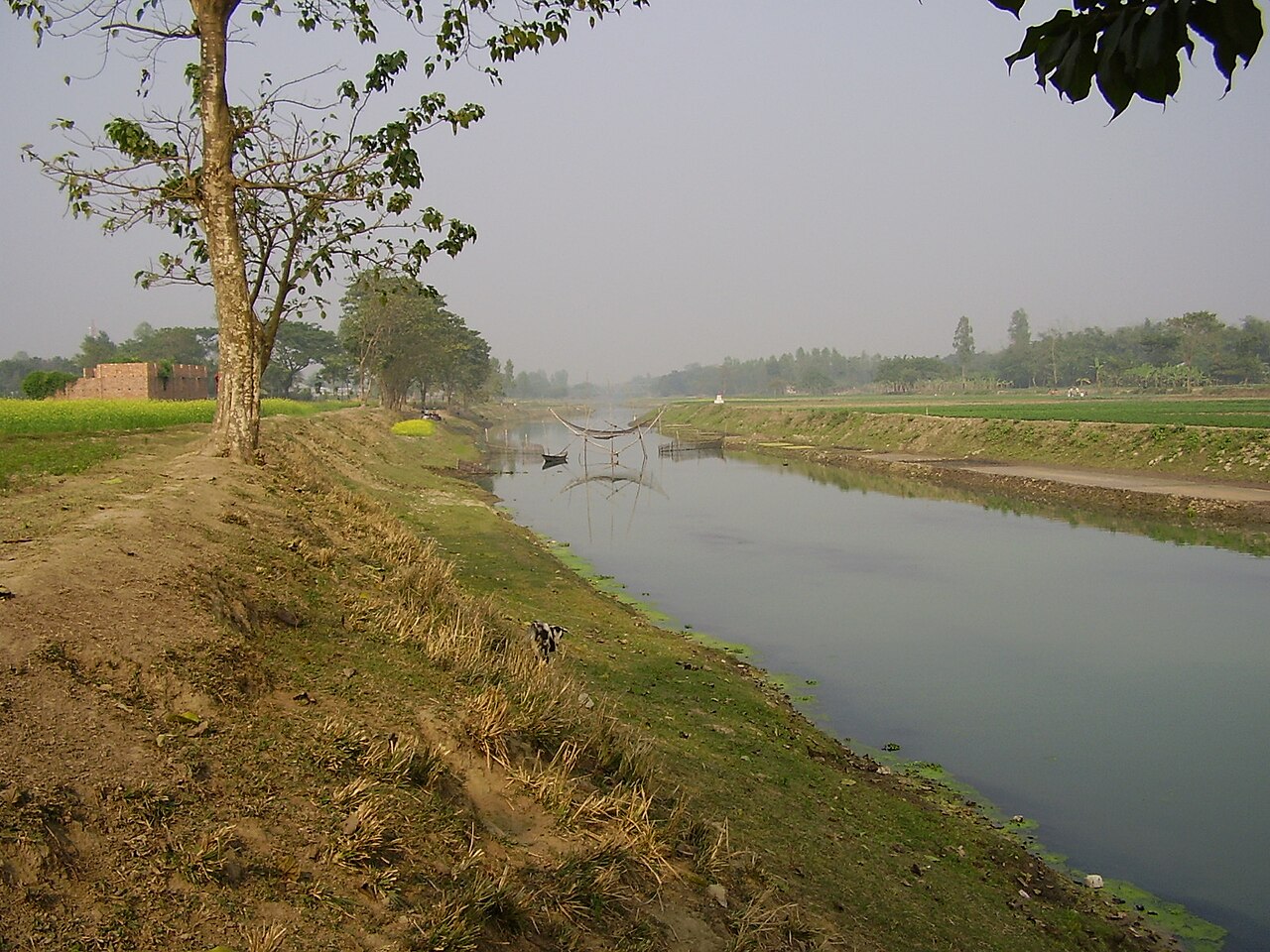 বগুড়া শহরের কাছে করতোয়া নদী। একসময় তিস্তার পানির বড় অংশ বইত এই নদী দিয়ে, তার পুরোনো পলি এই অঞ্চলের মাটির ভিত। ছবি: HBB19 / উইকিমিডিয়া কমন্স (CC BY-SA 4.0)