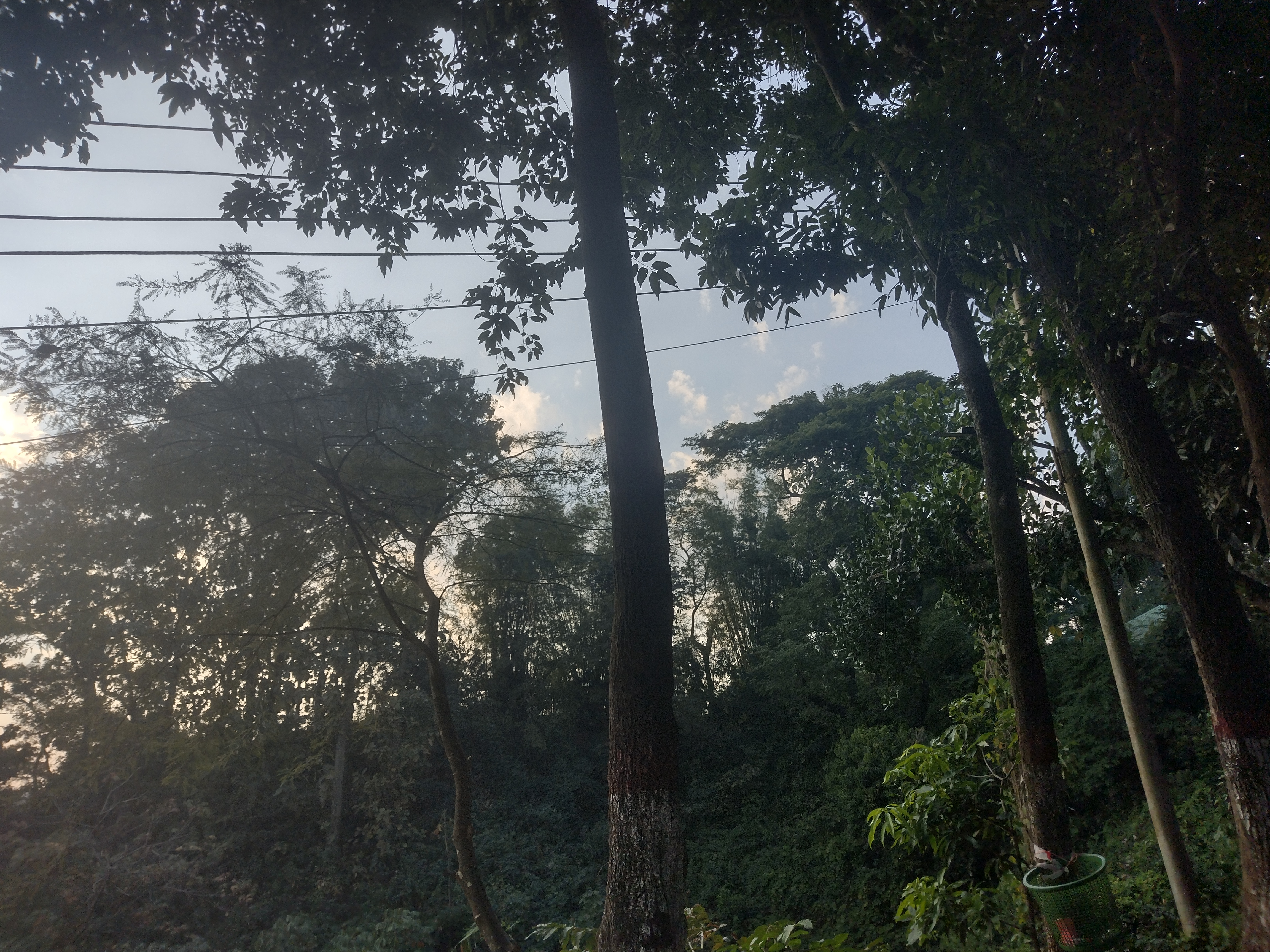 চট্টগ্রাম নগরের বাটালি হিল। ছবি: Mehediabedin / উইকিমিডিয়া কমন্স (CC BY-SA 4.0)