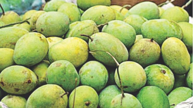 বাংলাদেশের পাকা আম, যাকে আলোকচিত্রী হিমসাগর বলে চিহ্নিত করেছেন; খিরসাপাত জাতটি এই নামেও ব্যাপকভাবে পরিচিত। ছবি: Tarik71 / উইকিমিডিয়া কমন্স (CC BY-SA 4.0)