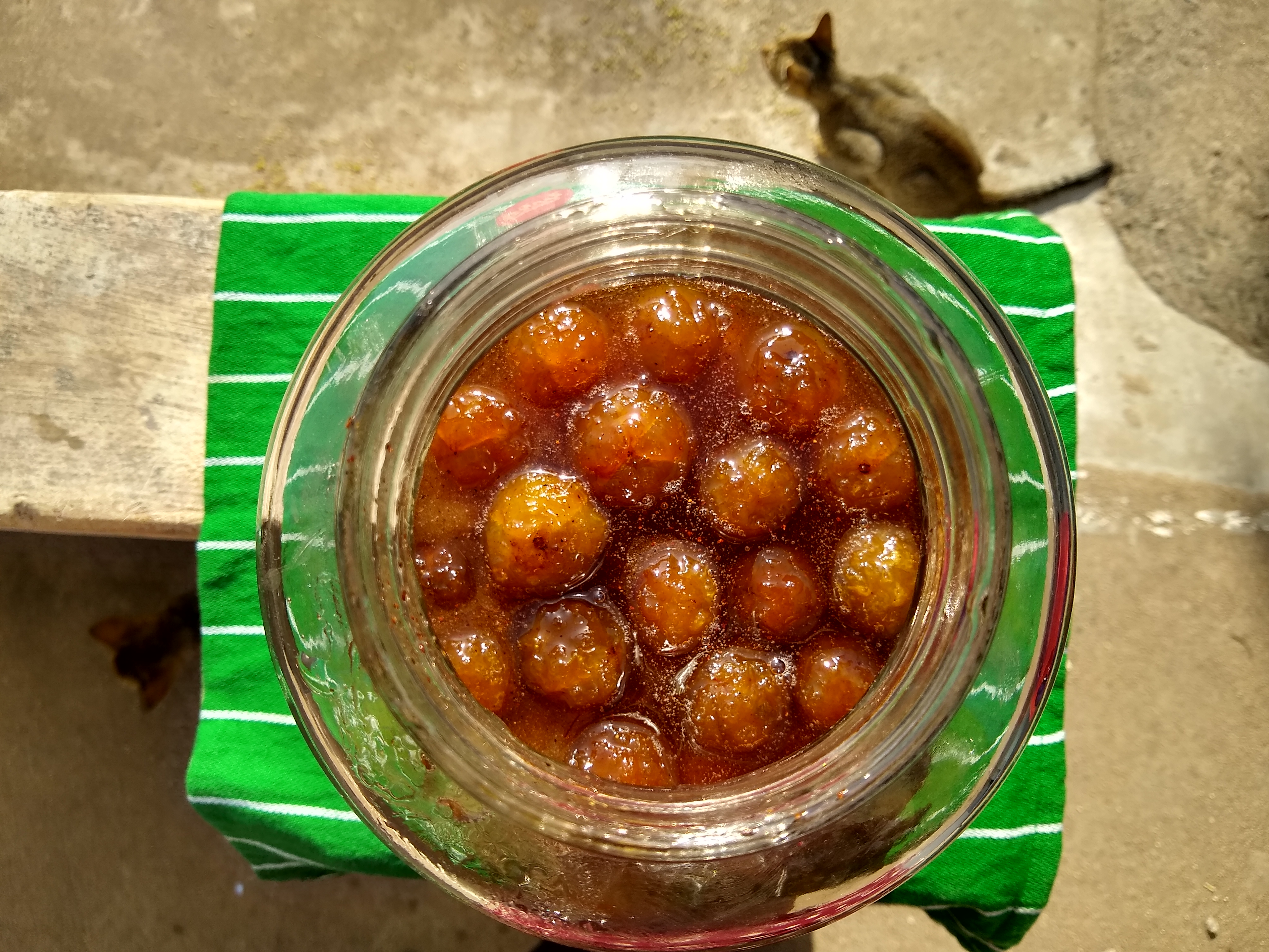 চিনির শিরায় সংরক্ষিত আমলকীর মোরব্বা, ভারতের গুজরাটে তোলা। ছবি: Shaili Sharma / উইকিমিডিয়া কমন্স (CC BY-SA 4.0)