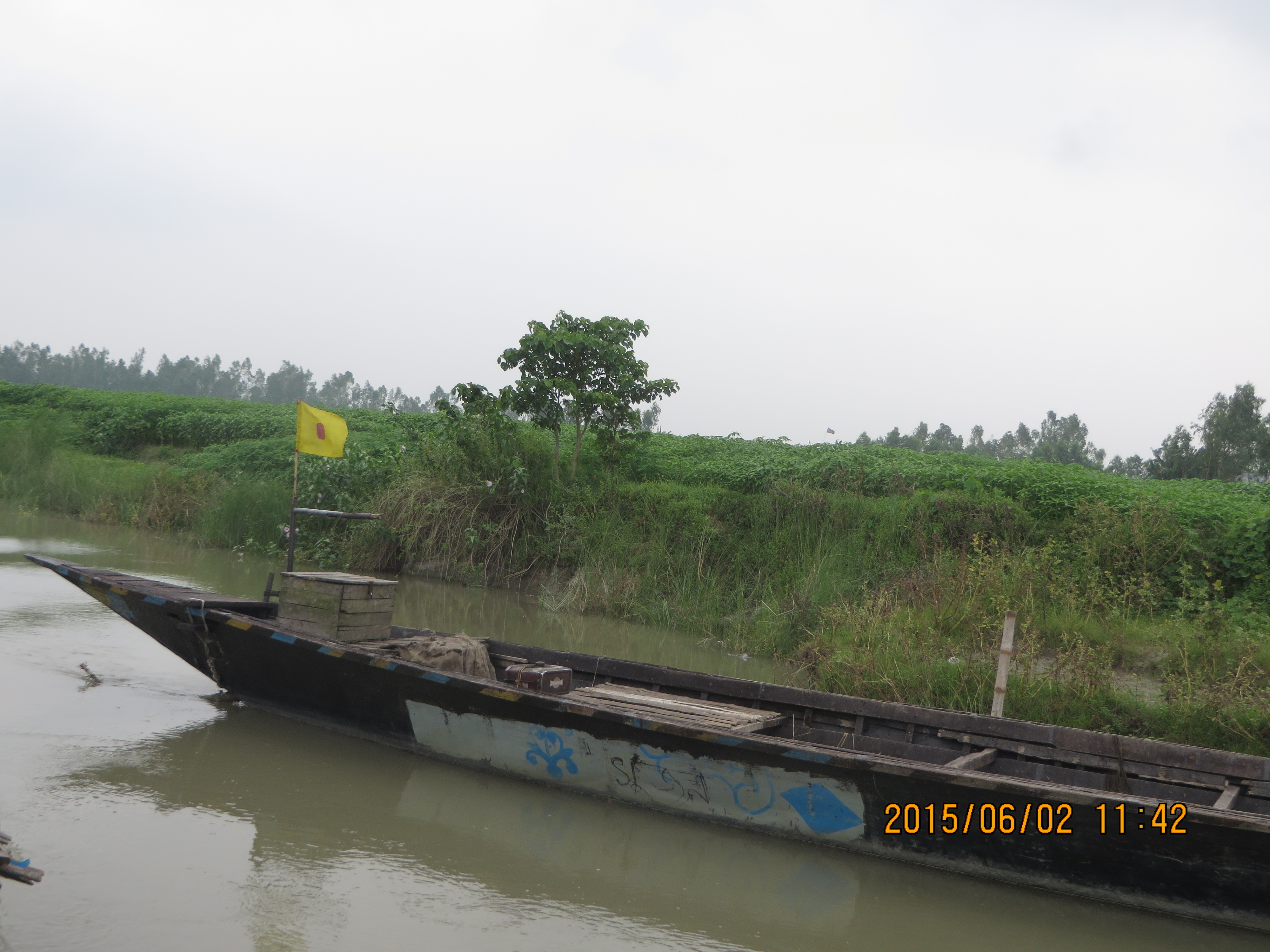 টাঙ্গাইলের উজানে বগুড়া জেলায় যমুনা নদীর একটি চরে বাঁধা নৌকা। টাঙ্গাইলের সূর্যমুখীর বড় অংশ চাষ হয়েছিল এমন চরেই। ছবি: আফিফা আফরিন / উইকিমিডিয়া কমন্স (সিসি বাই-এসএ ৩.০)