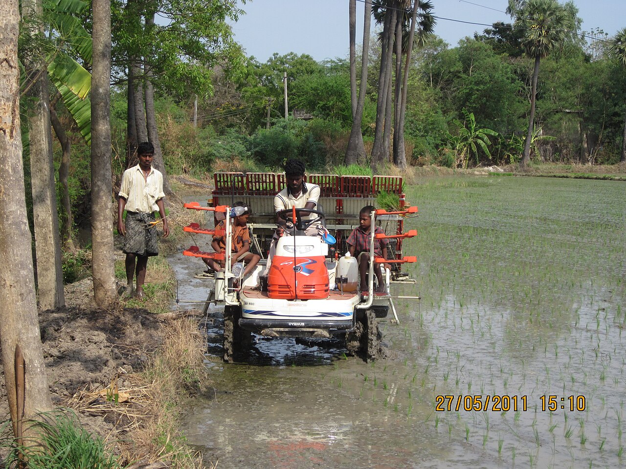 A rice transplanter at work (Tamil Nadu, India). Photo: Nikhil.irri / Wikimedia Commons (CC BY-SA 3.0)