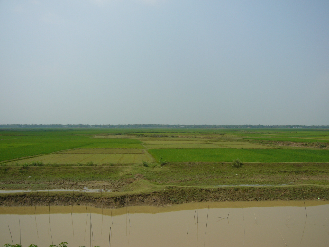 শুকনো মৌসুমে দেশের বৃহত্তম হাওর হাকালুকি, যা মৌলভীবাজার ও সিলেট জেলাজুড়ে বিস্তৃত (মার্চ ২০০৭)। ছবি: Shahnoor Habib Munmun / উইকিমিডিয়া কমন্স (CC BY 2.5)