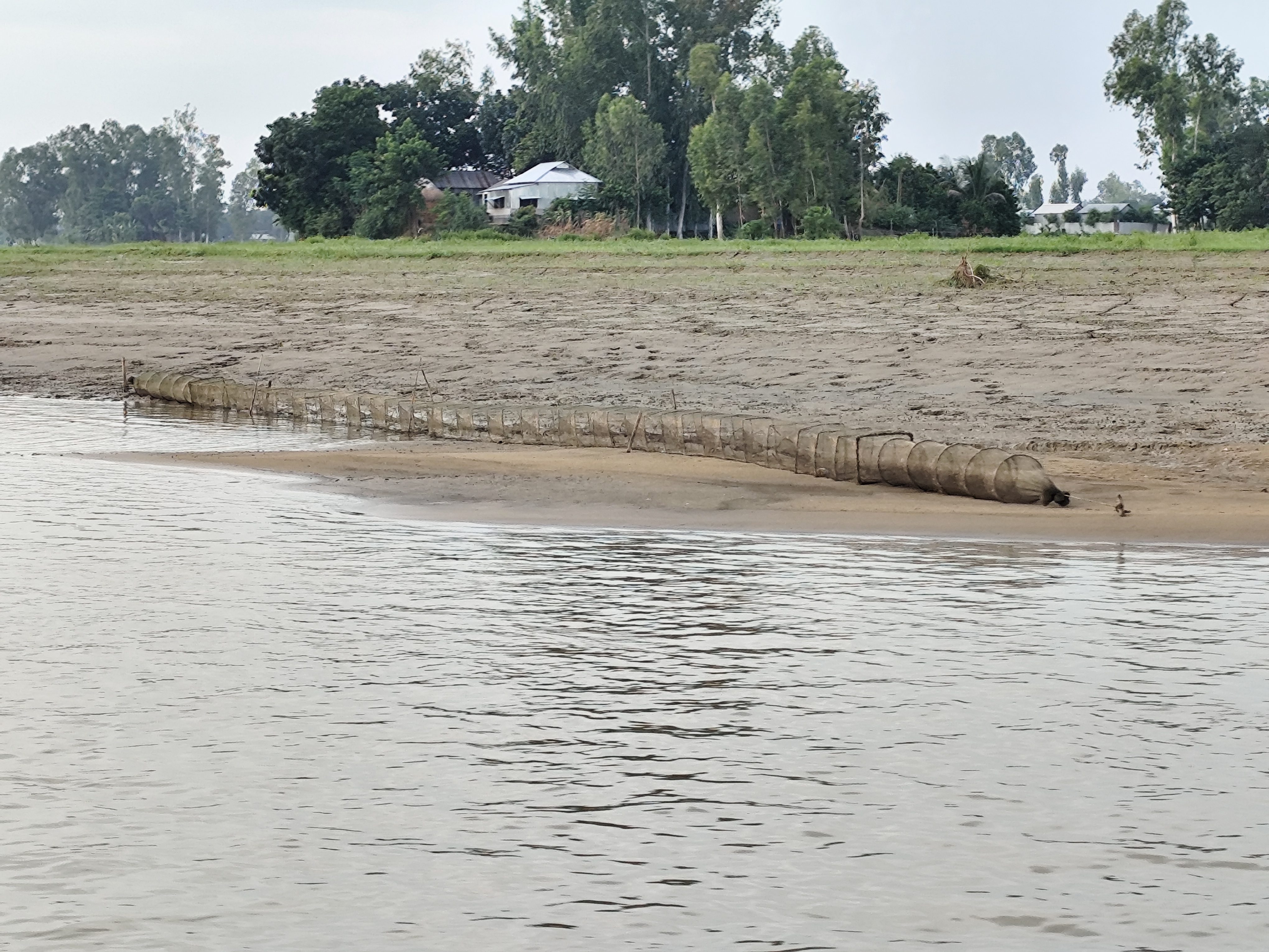 রৌমারীর যাদুরচর ইউনিয়নের বকবান্দায় জিঞ্জিরাম নদীতে মাছ ধরার ফাঁদ। ছবি: Tanvir Rahat / উইকিমিডিয়া কমন্স (CC BY-SA 4.0)