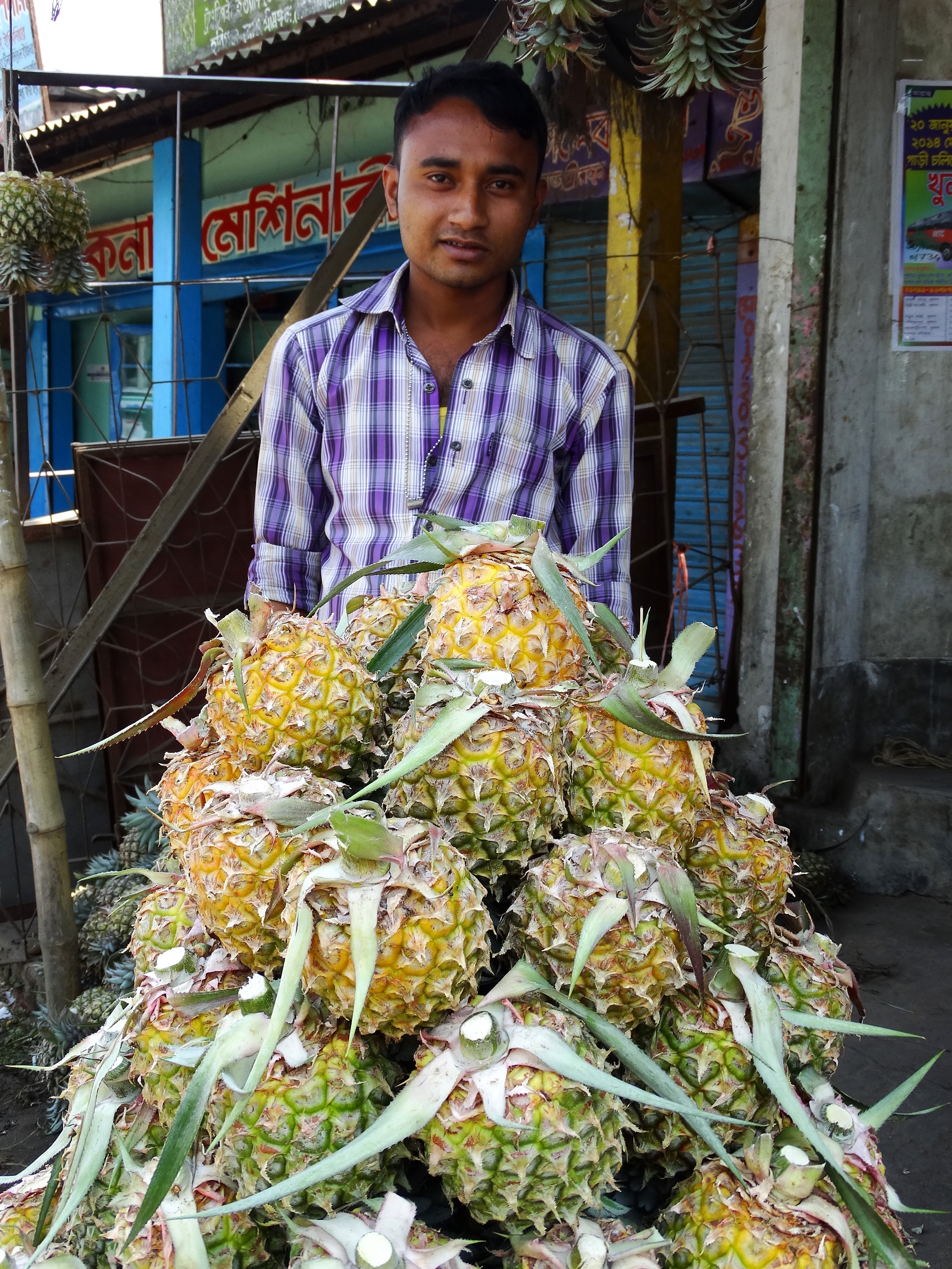 সিলেট বিভাগের শ্রীমঙ্গলে আনারস বিক্রেতা। ছবি: Adam Jones / উইকিমিডিয়া কমন্স (CC BY-SA 2.0)